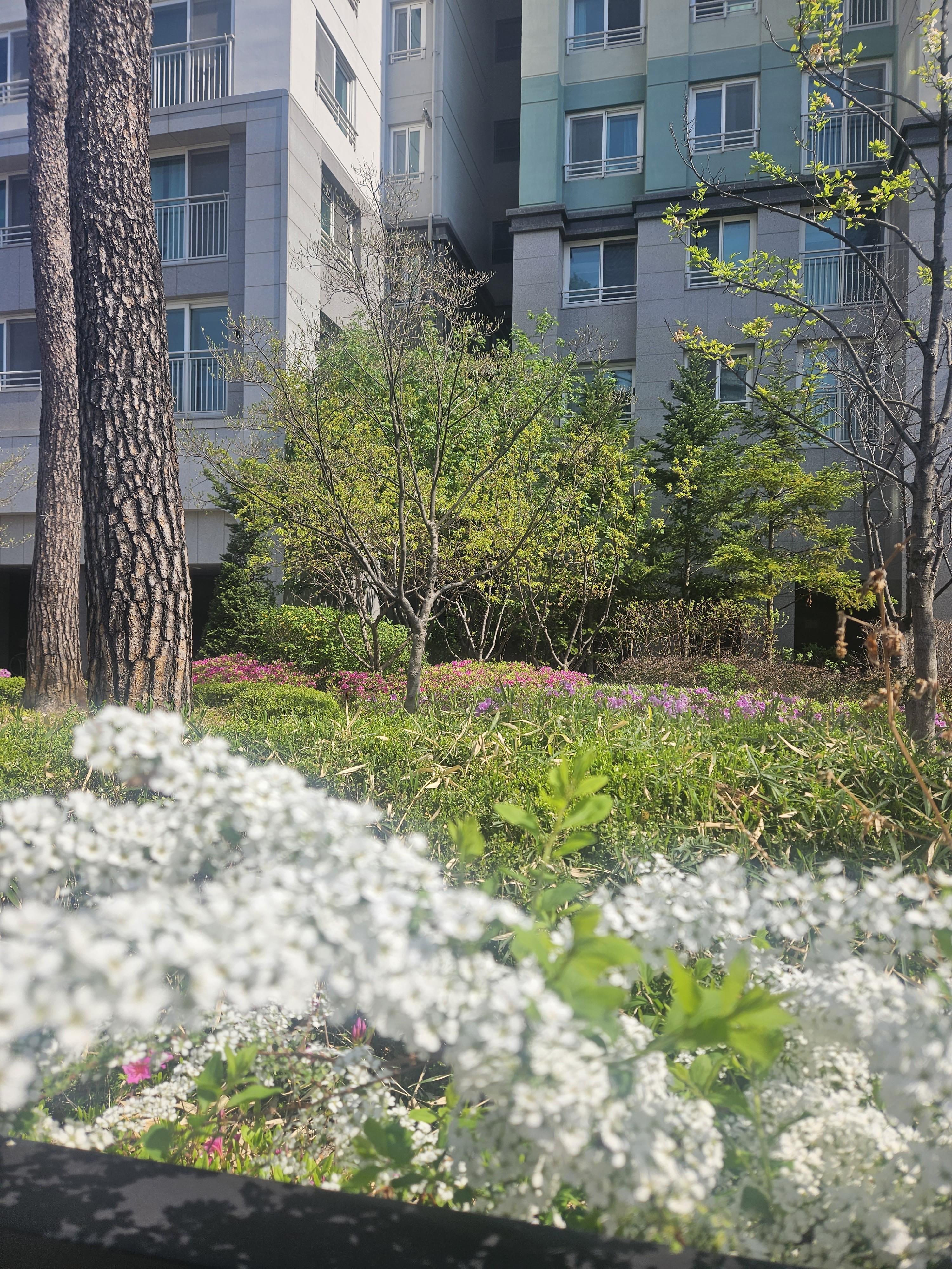 이모션프로
