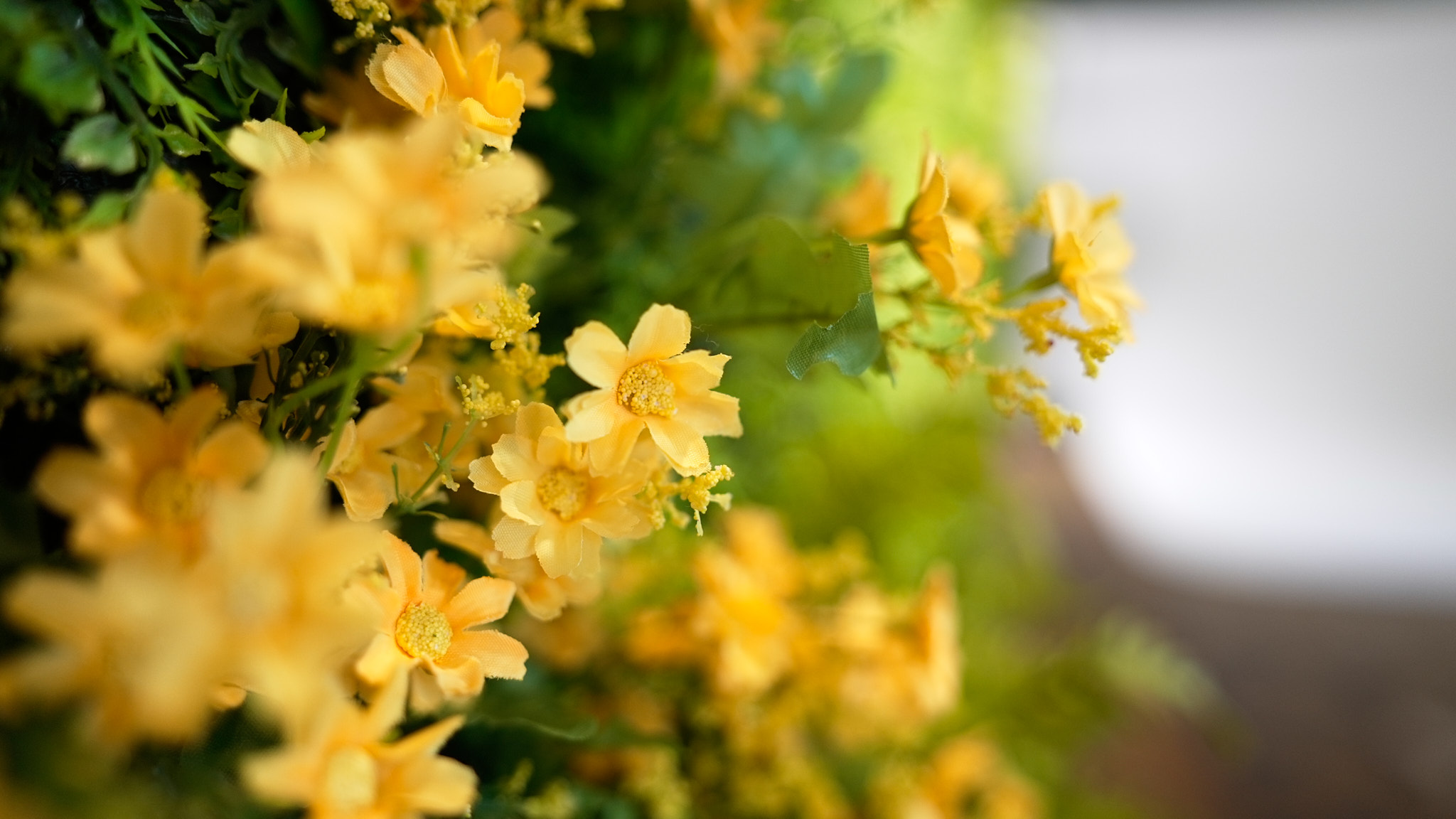 쉼 스튜디오 대표 이미지