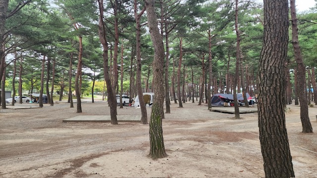 양양캠프장