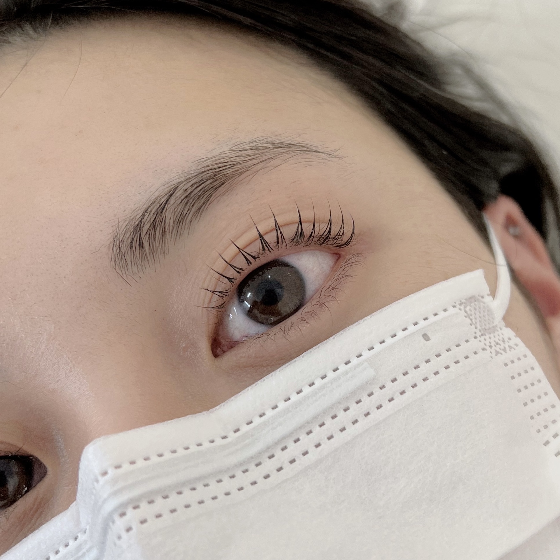 해이브제 스튜디오 대표 이미지