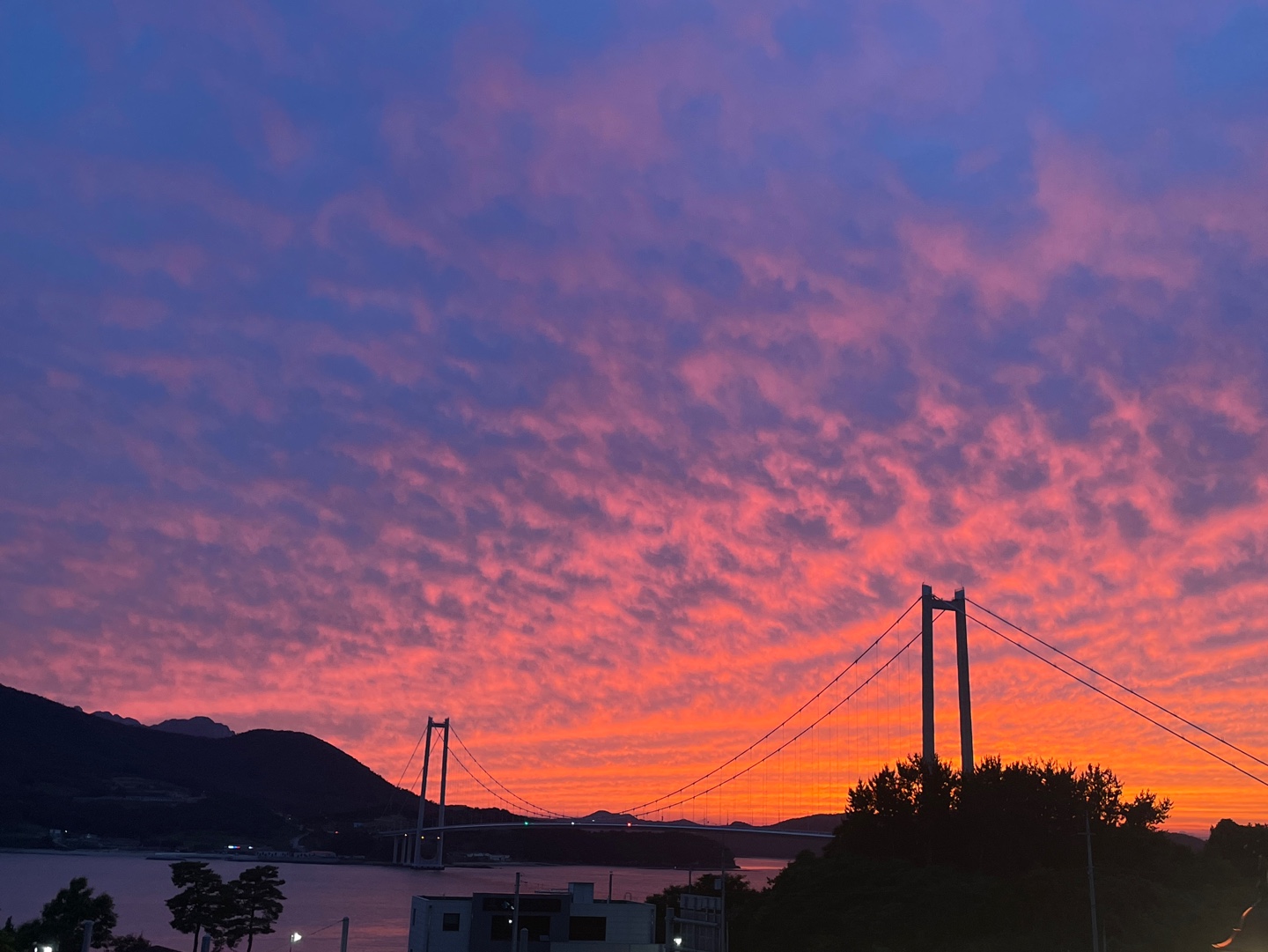 적금 해리스