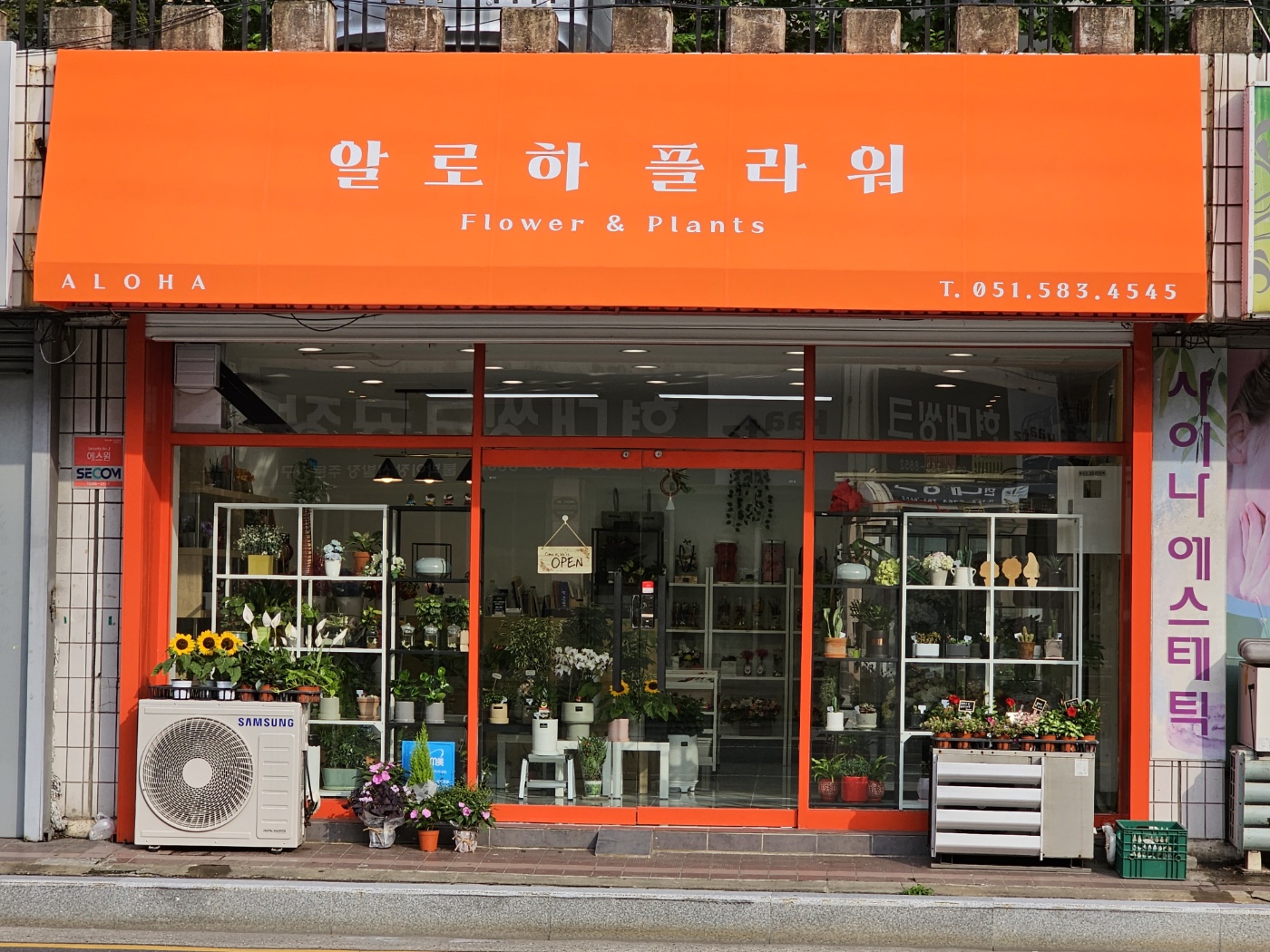알로하 플라워