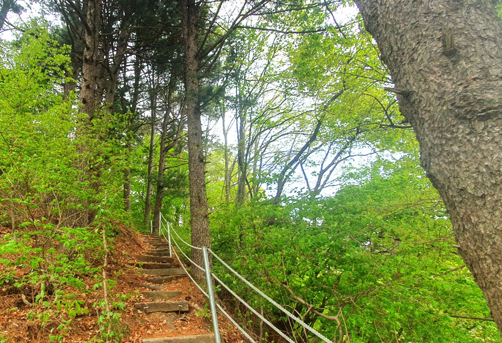 보랏빛 산채마을