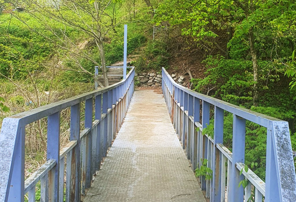 보랏빛 산채마을