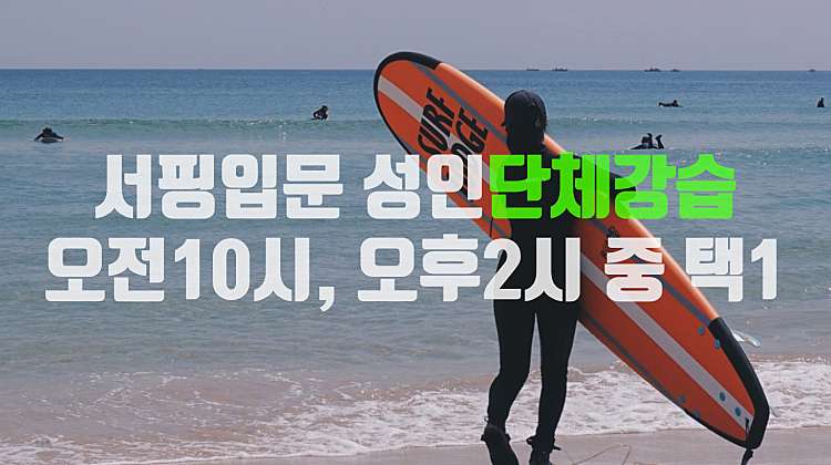 서핑입문 성인단체강습(오전10시, 오후2시 중 택1) 대표사진