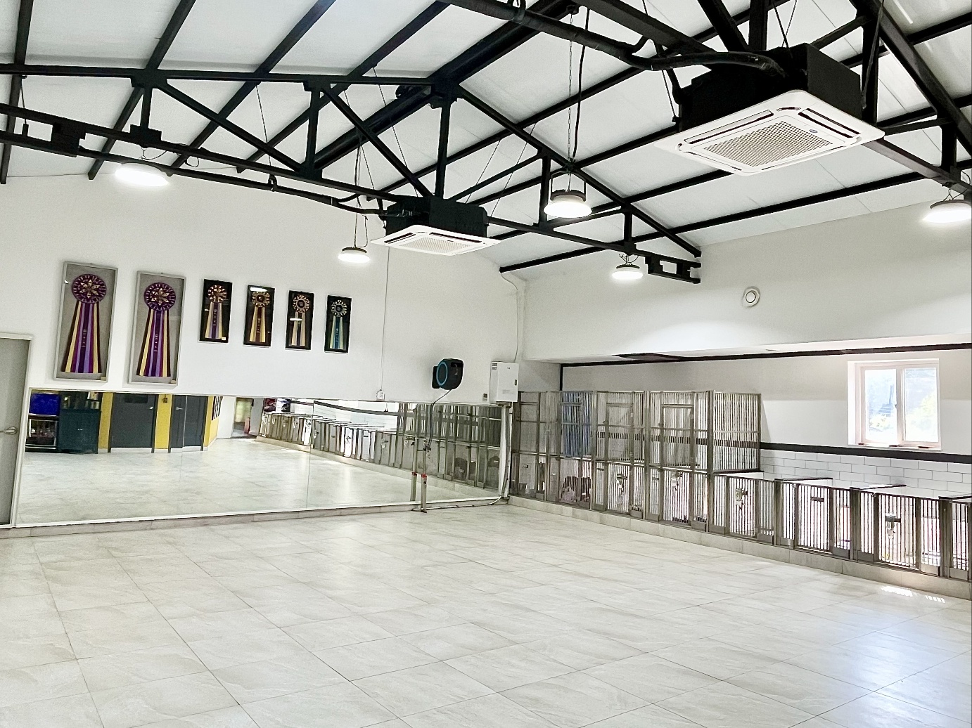 돌담펫 대표 이미지