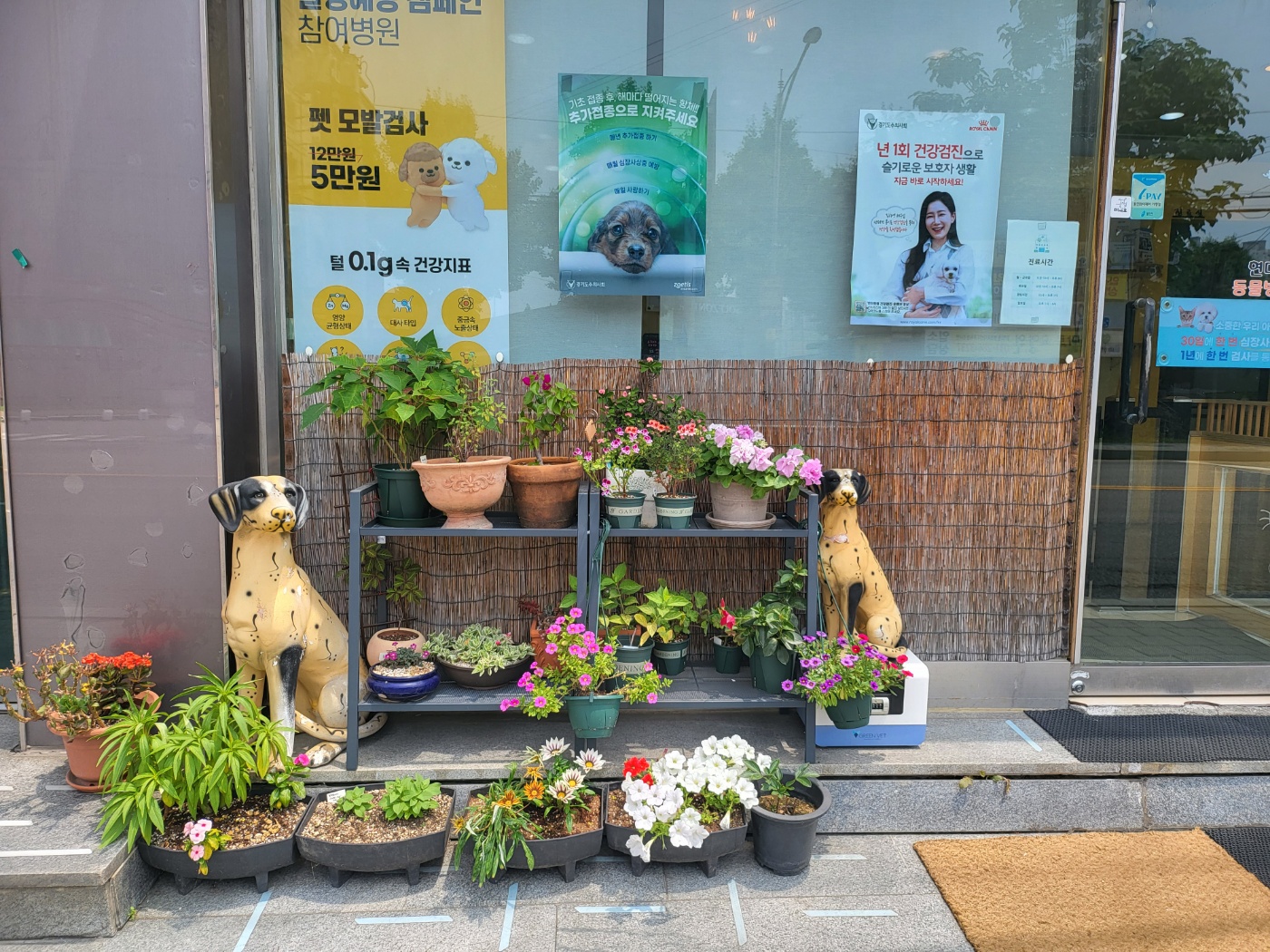 현대동물병원