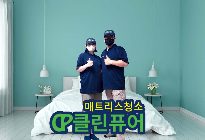 대구침대매트리스쇼파소파카페트청소홈케어시스템 클린퓨어