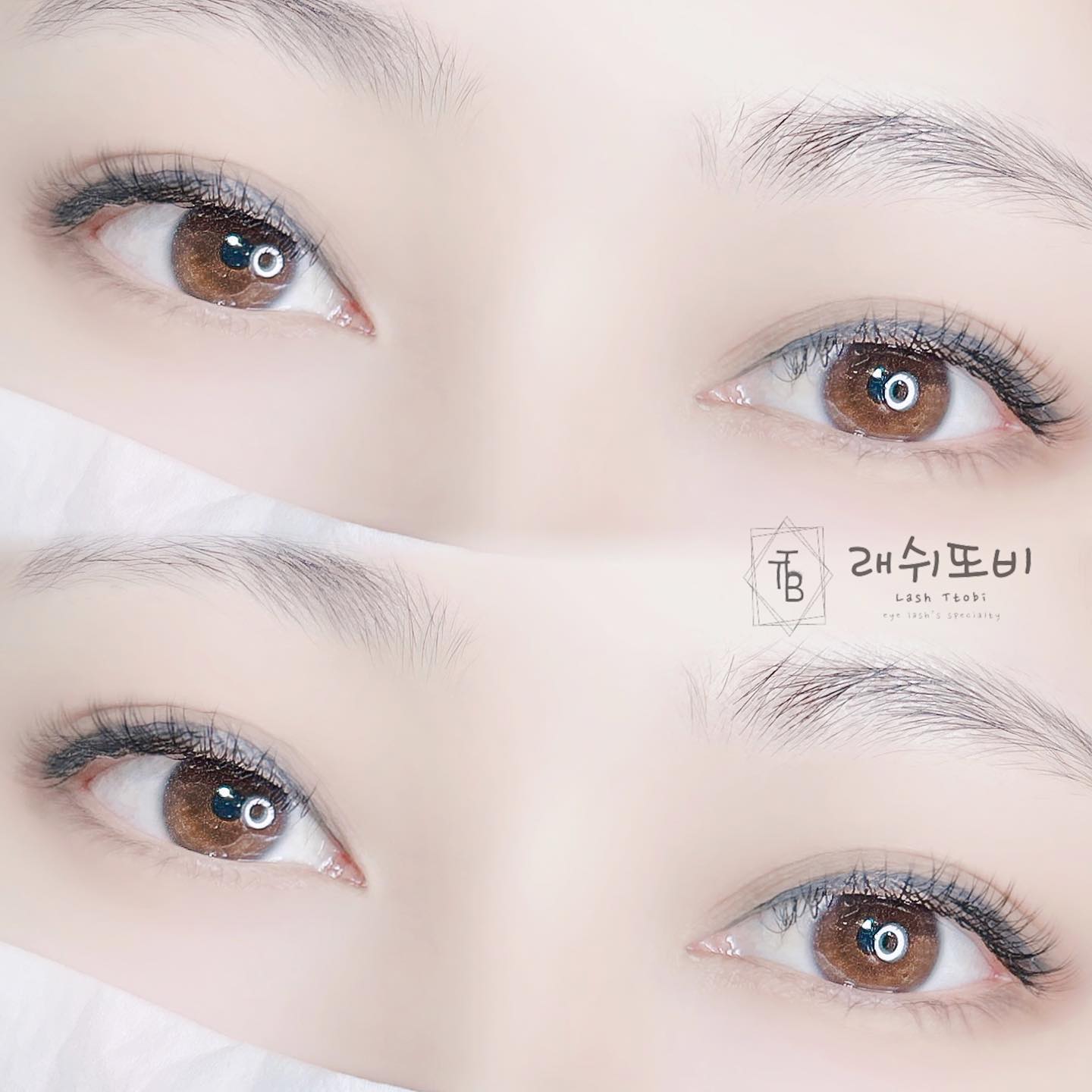 래쉬또비 대표 이미지