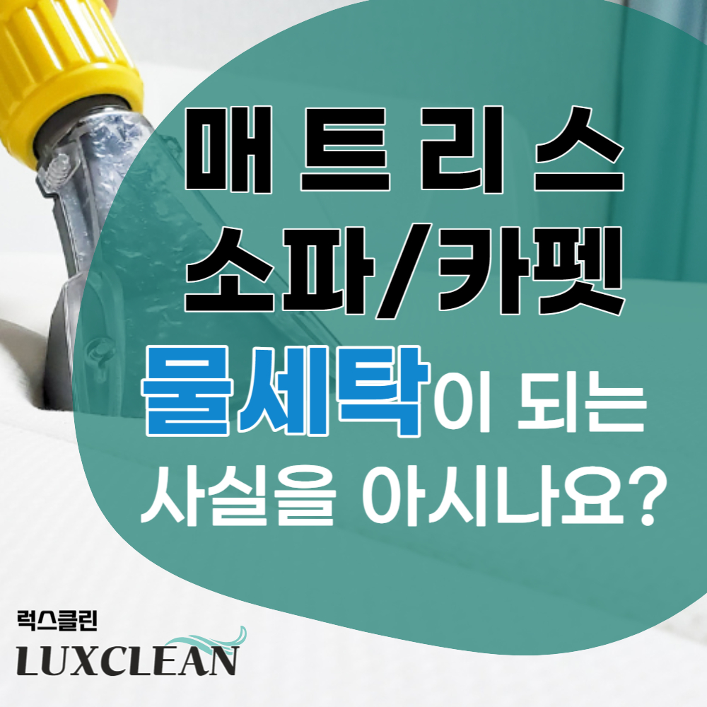 럭스클린 대표 이미지