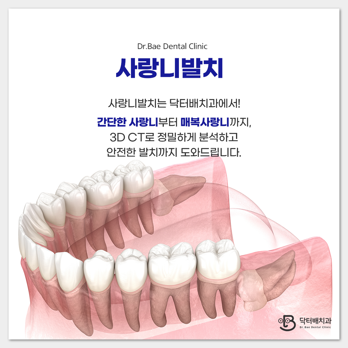 닥터배치과의원