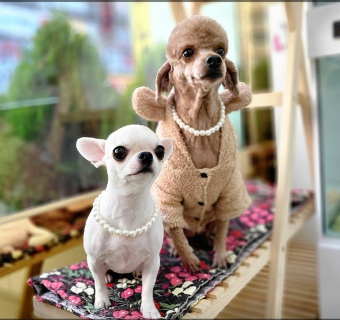 하루산책 대표 이미지