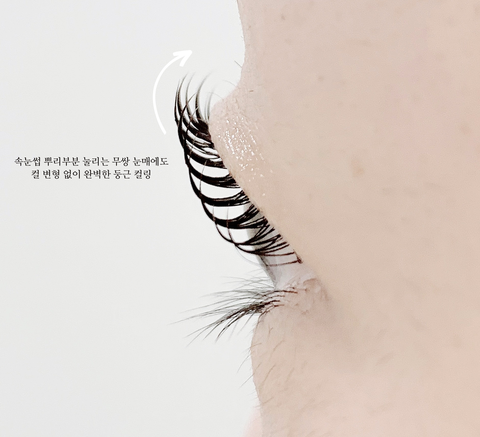 다봄