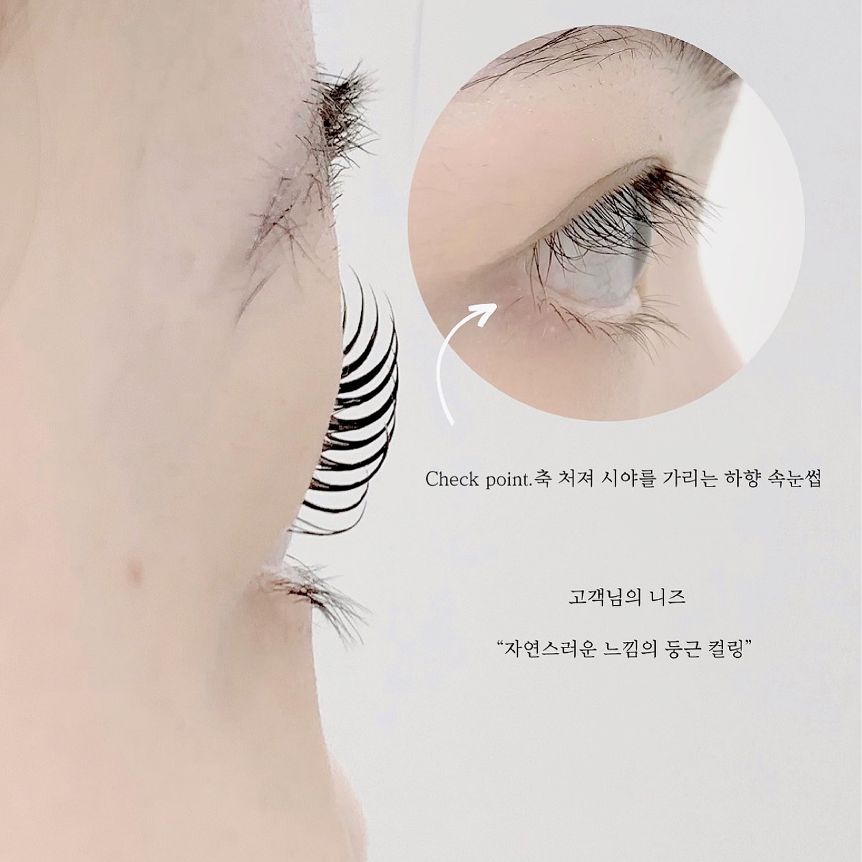 다봄