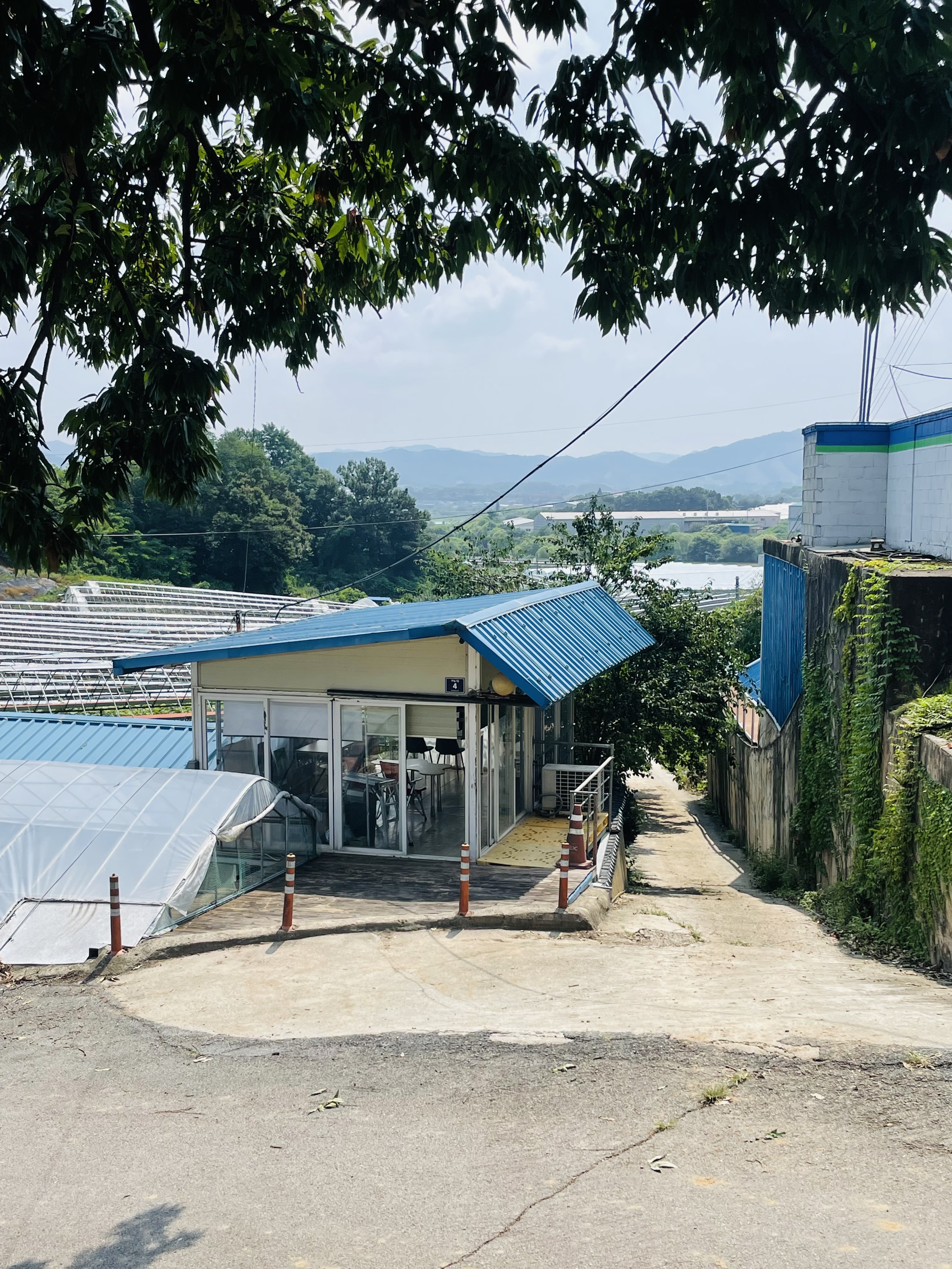 산포도원