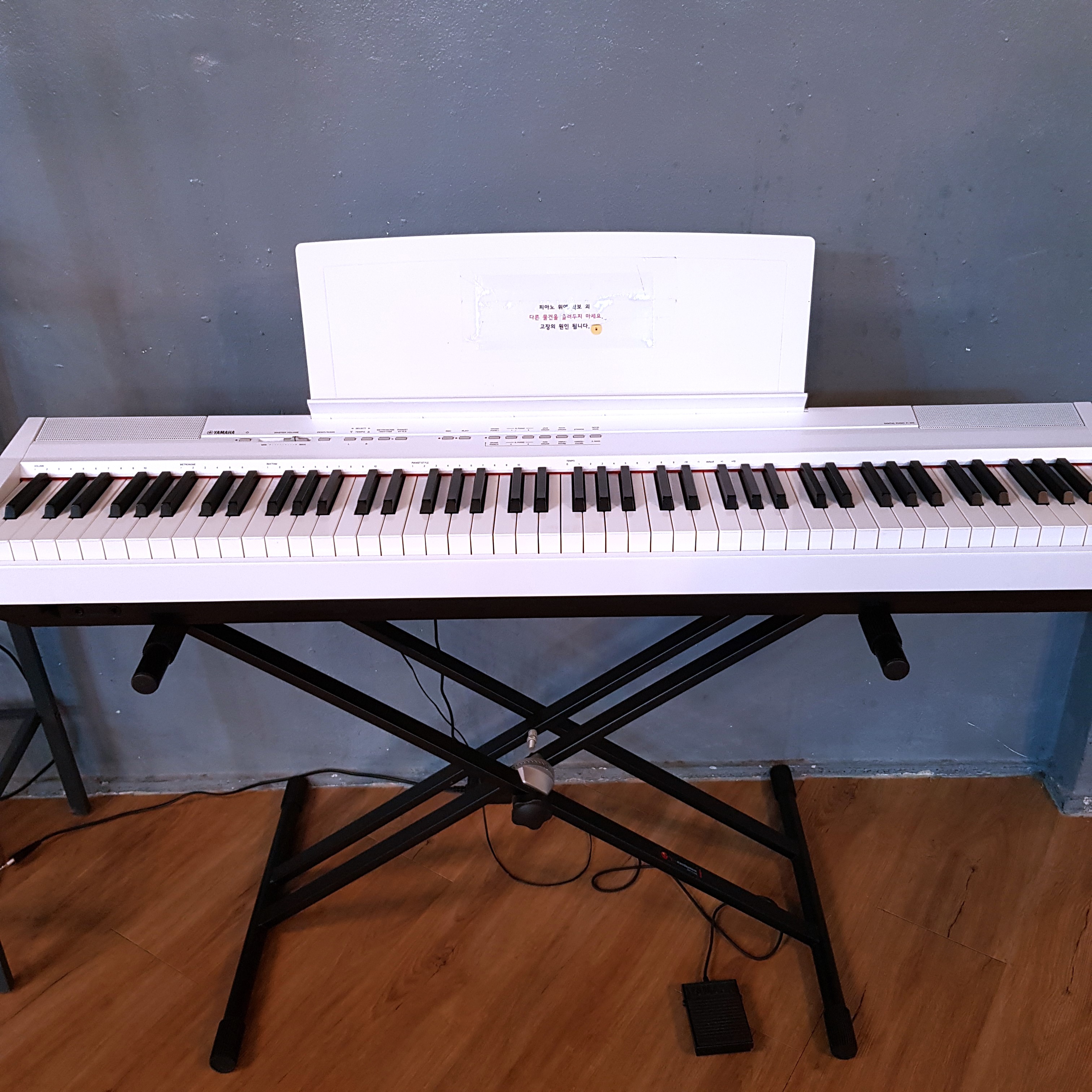 5번째 스튜디오 사진