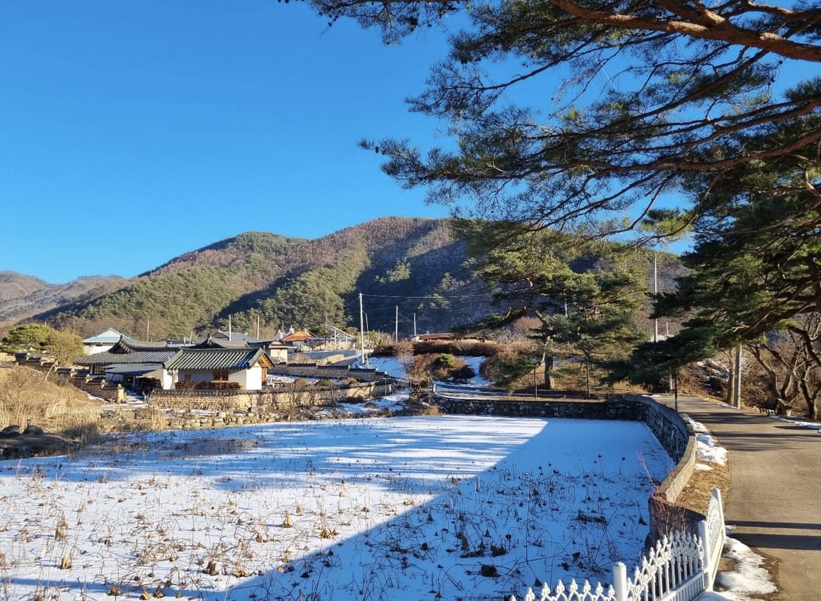 수근한 밤