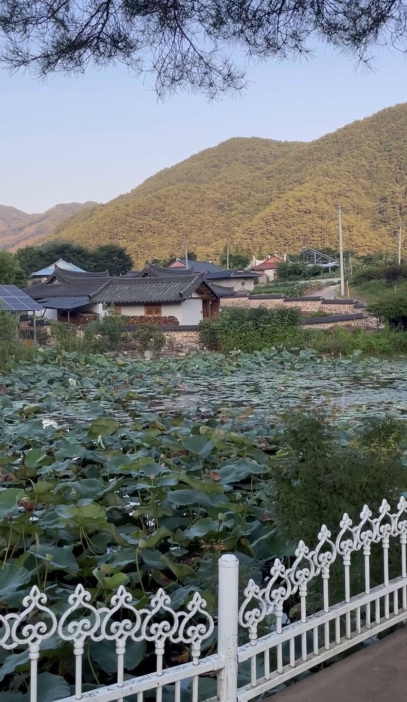 수근한 밤