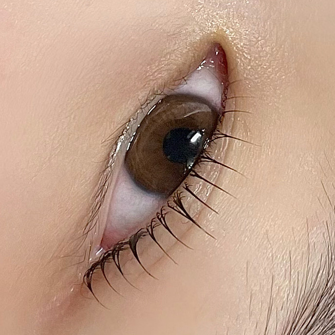 가드닝브로우 대표 이미지