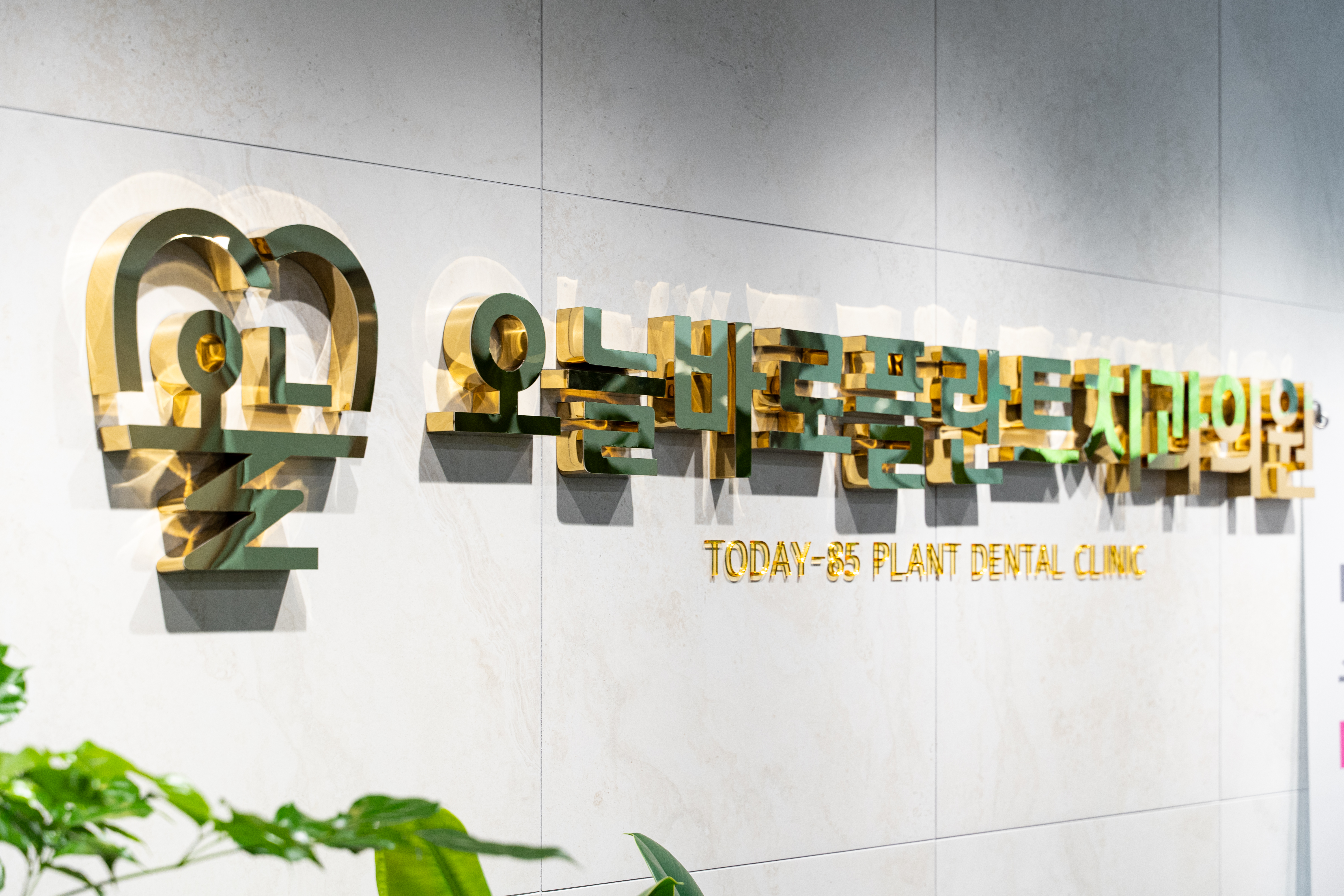 오늘바로플란트치과의원 대전 대표 이미지