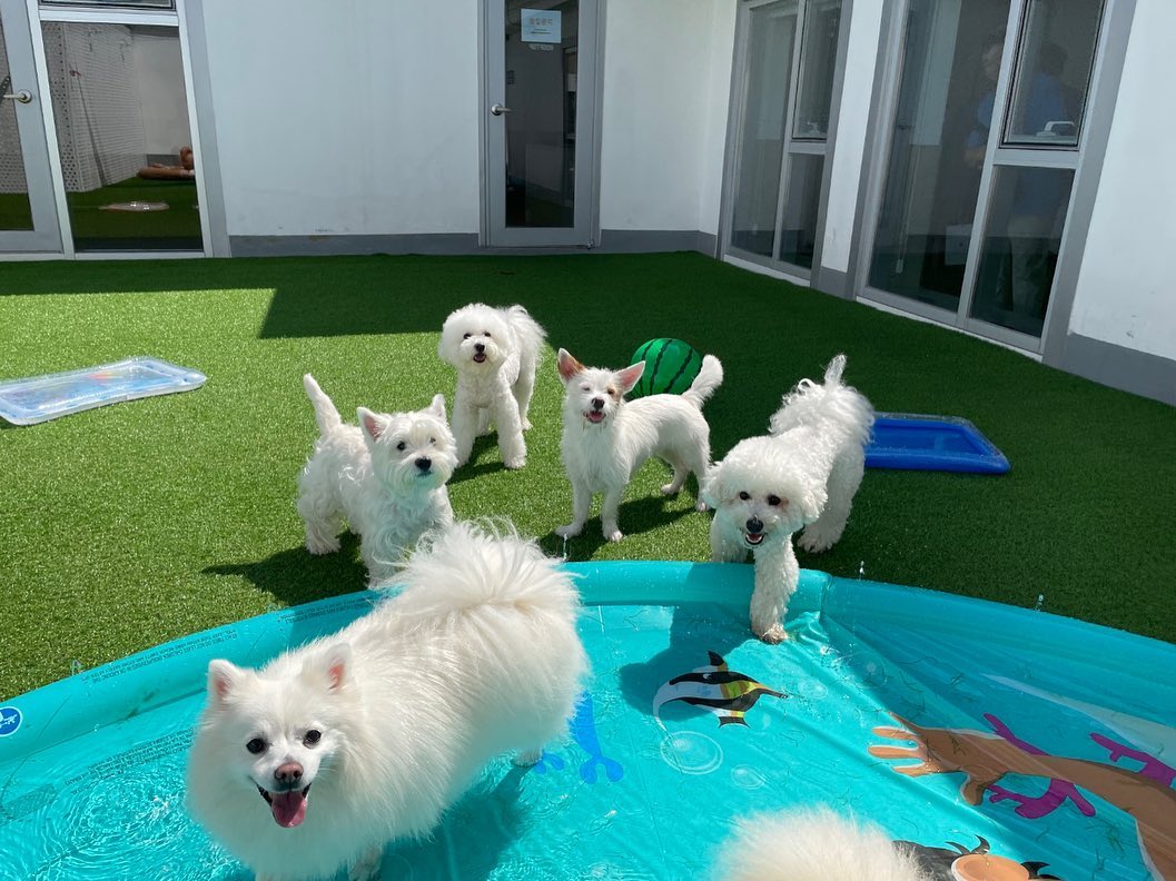 우쭈쭈 케어센터 합정점 대표 이미지