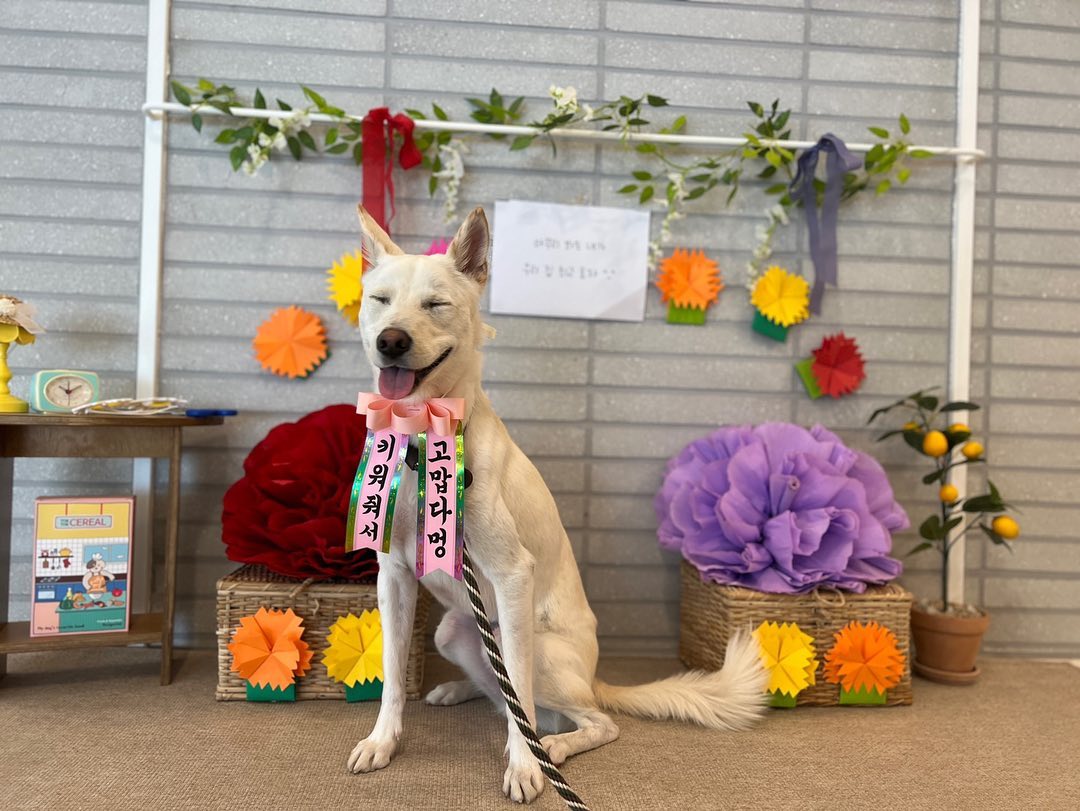 우쭈쭈 케어센터 합정점 대표 이미지