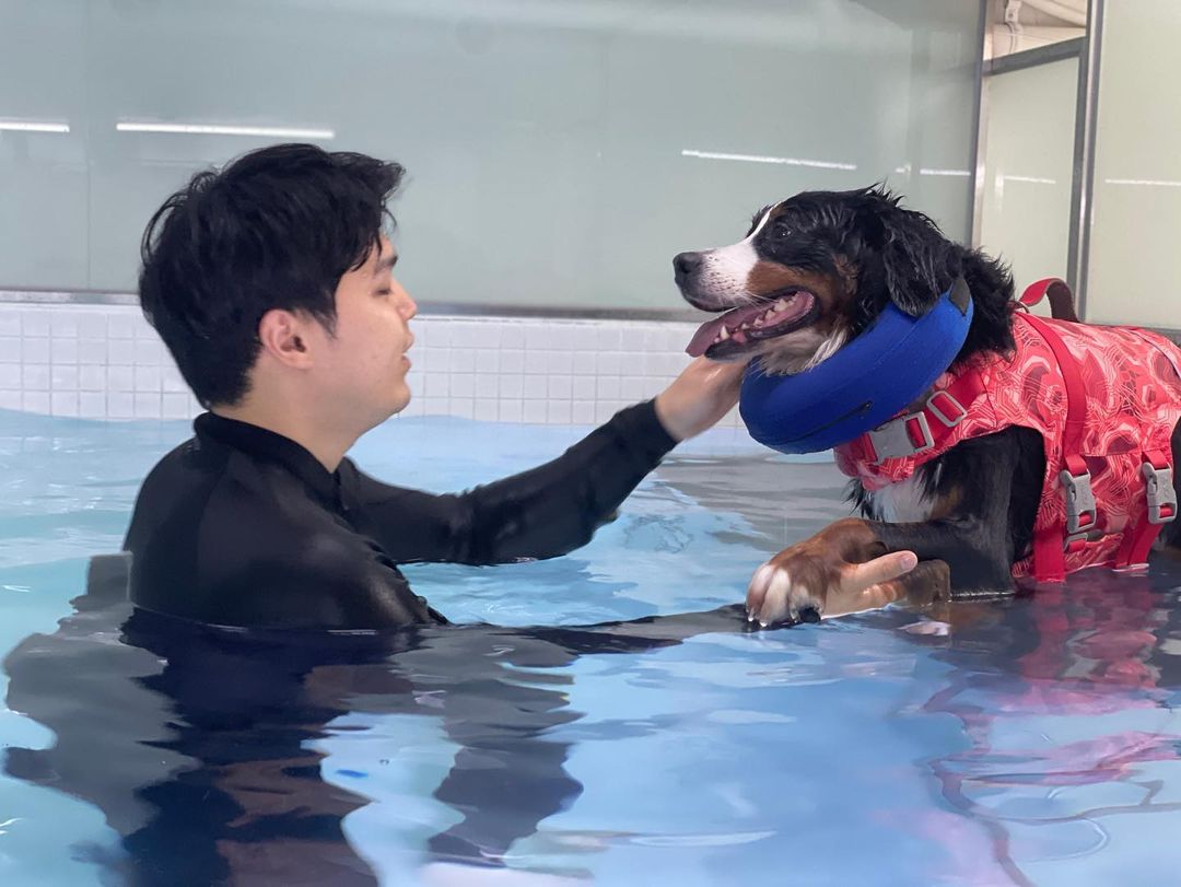 우쭈쭈 케어센터 합정점 대표 이미지