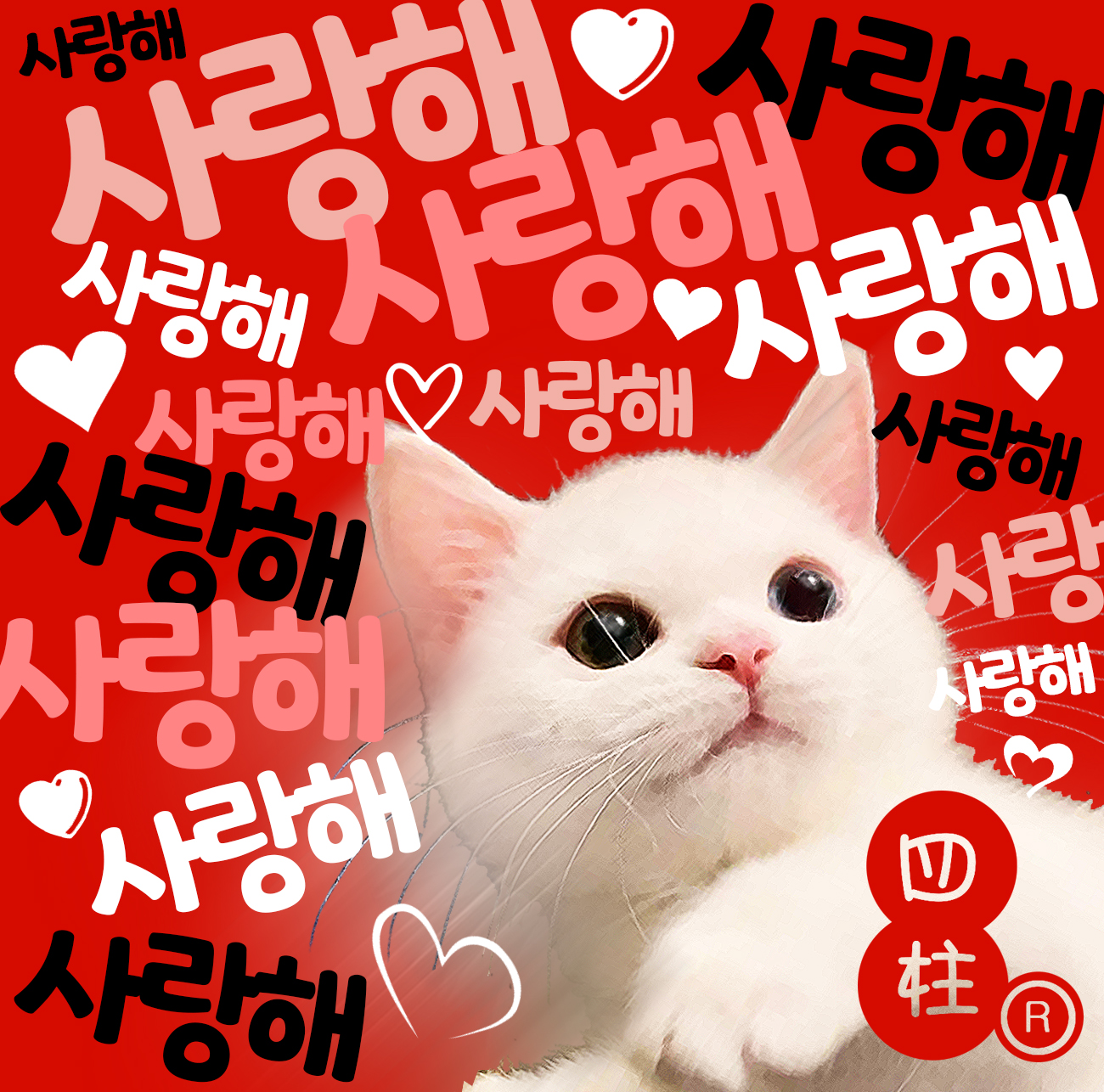팔공사주&타로