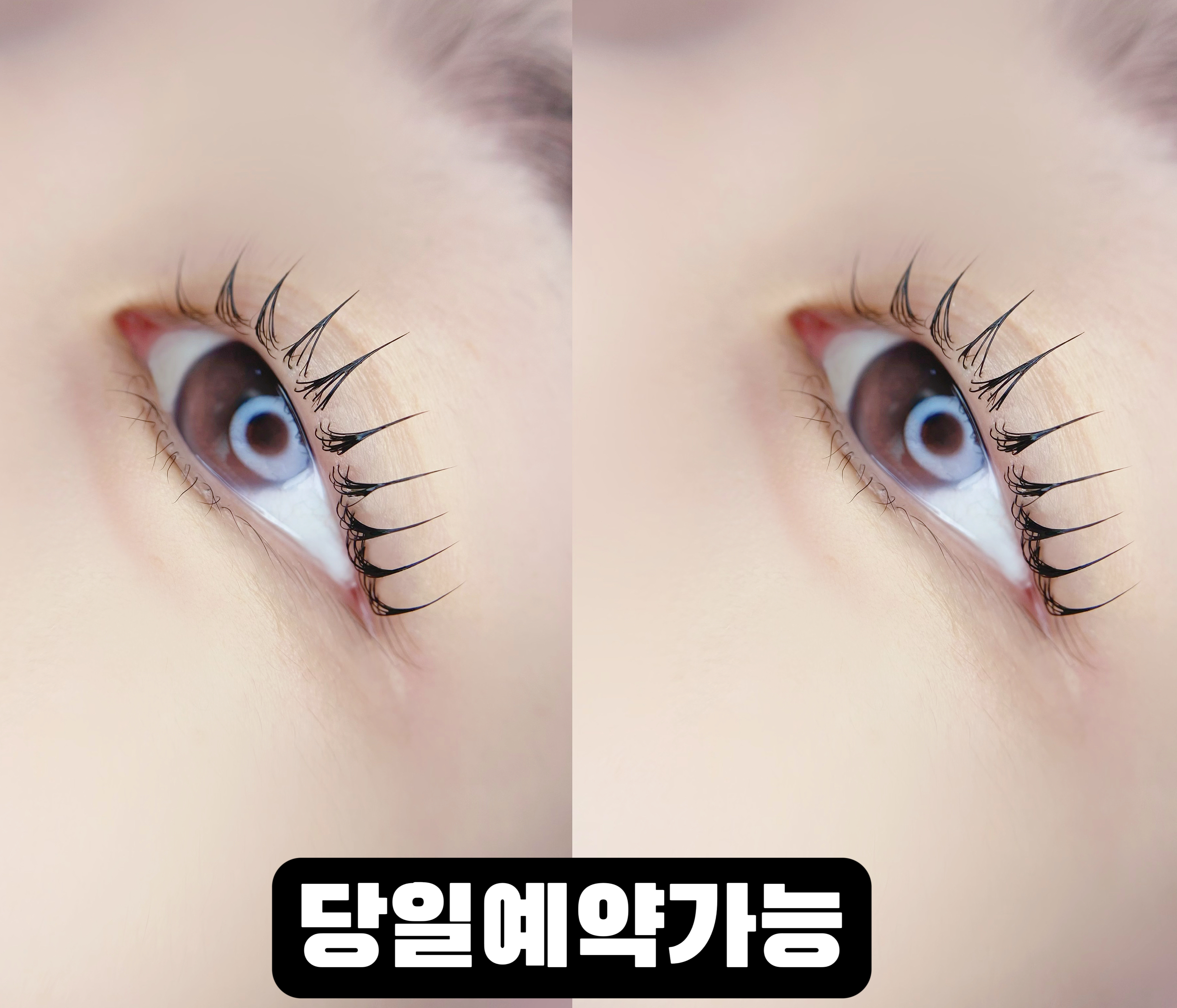 스테이인뷰티