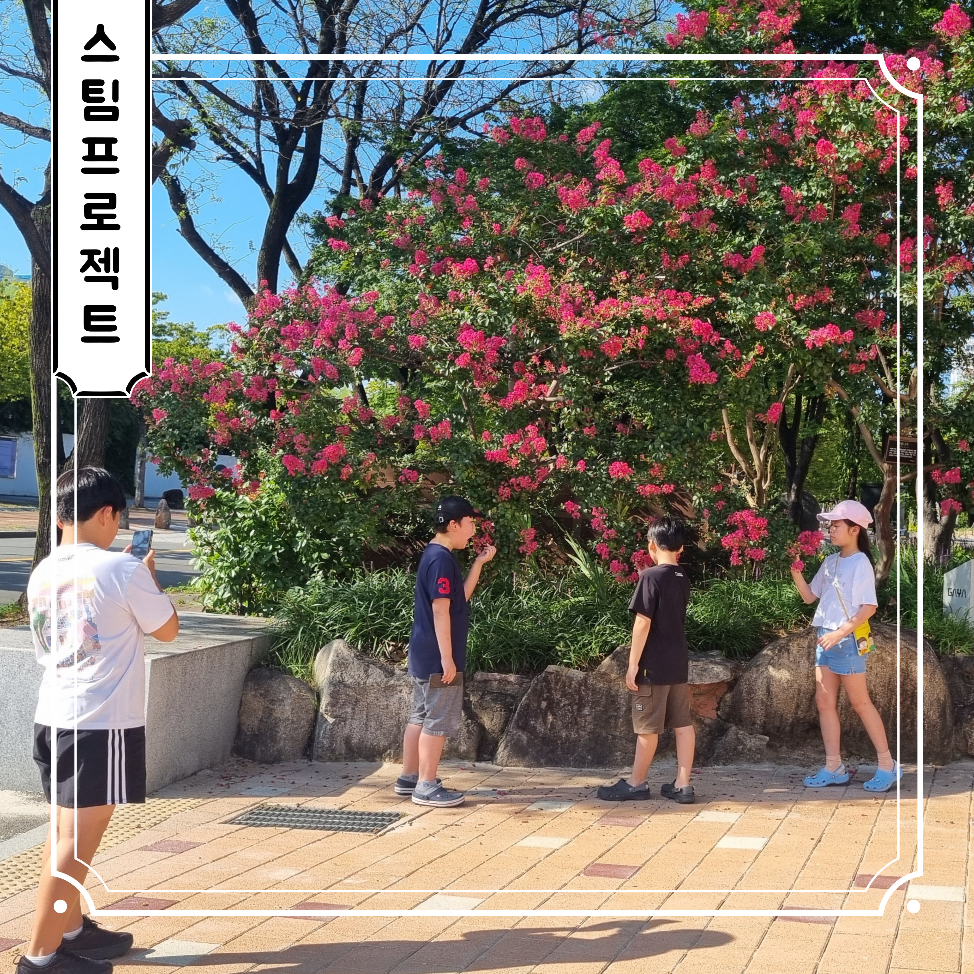 스팀스토리교육원