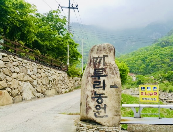 까투리