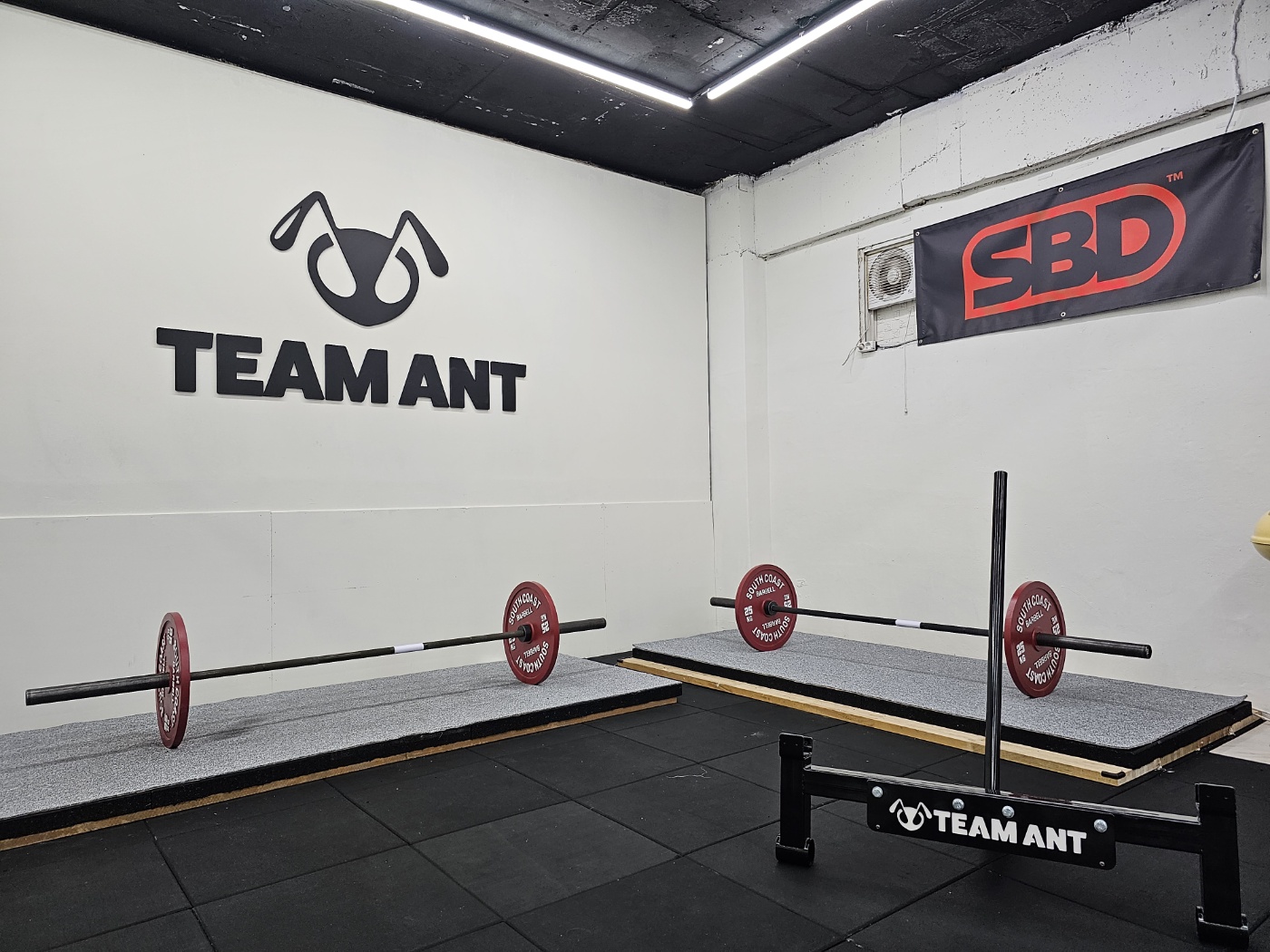 팀앤트 파워리프팅 대표 이미지