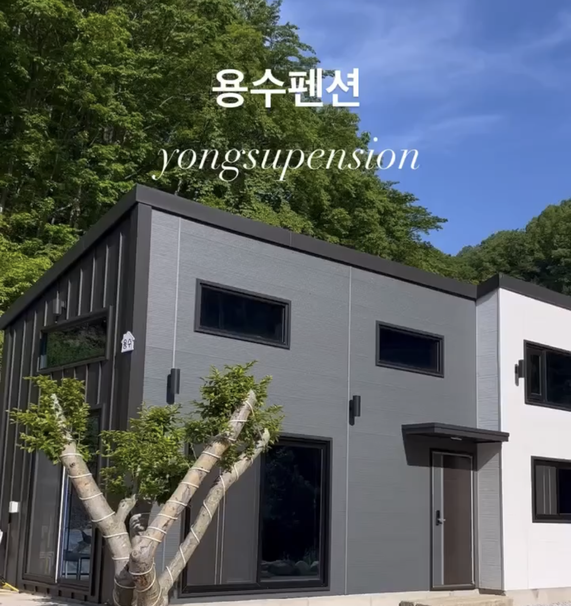 용수펜션
