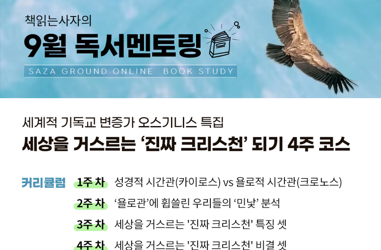 위젯 미리보기