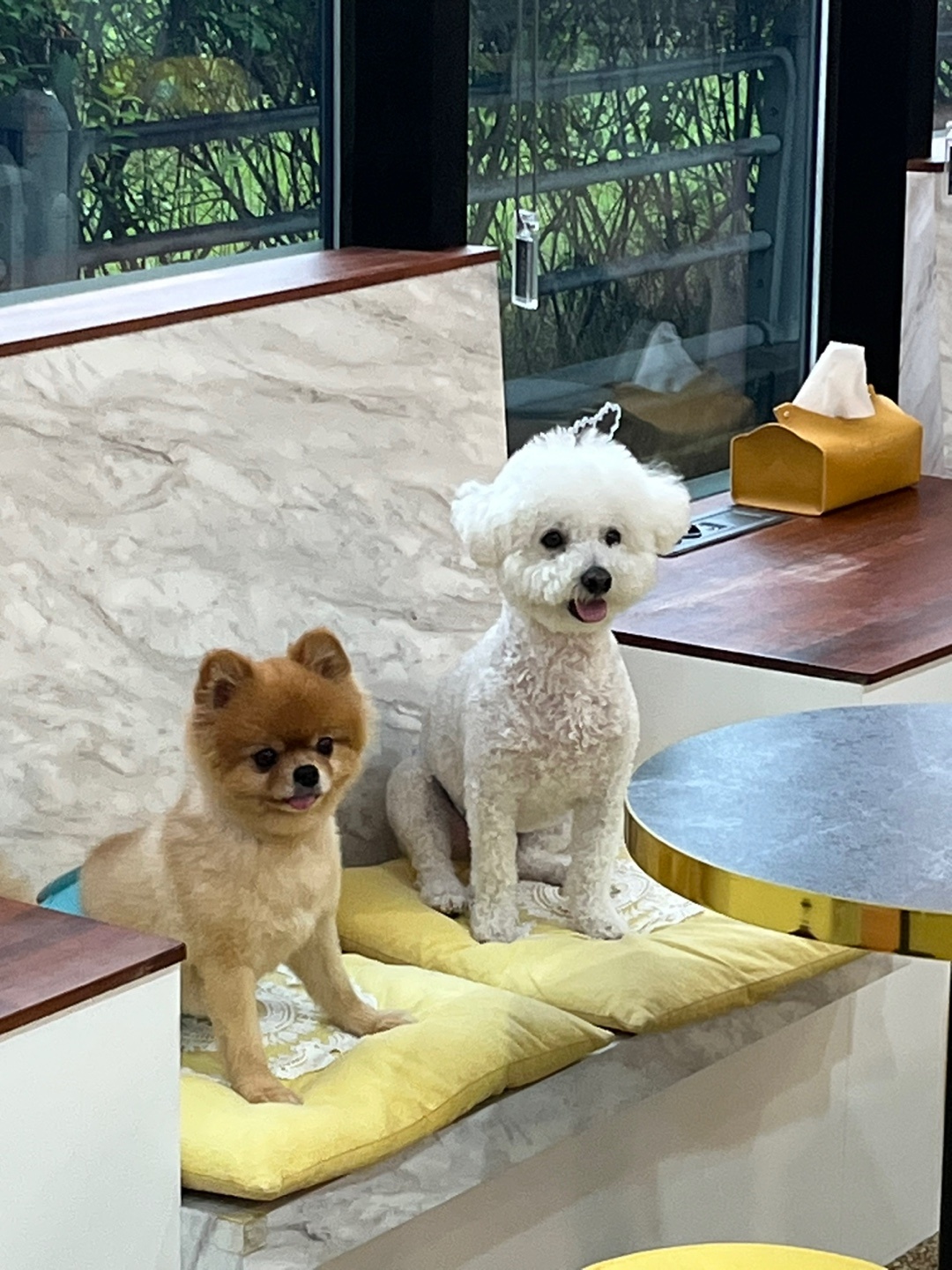 업독라이프