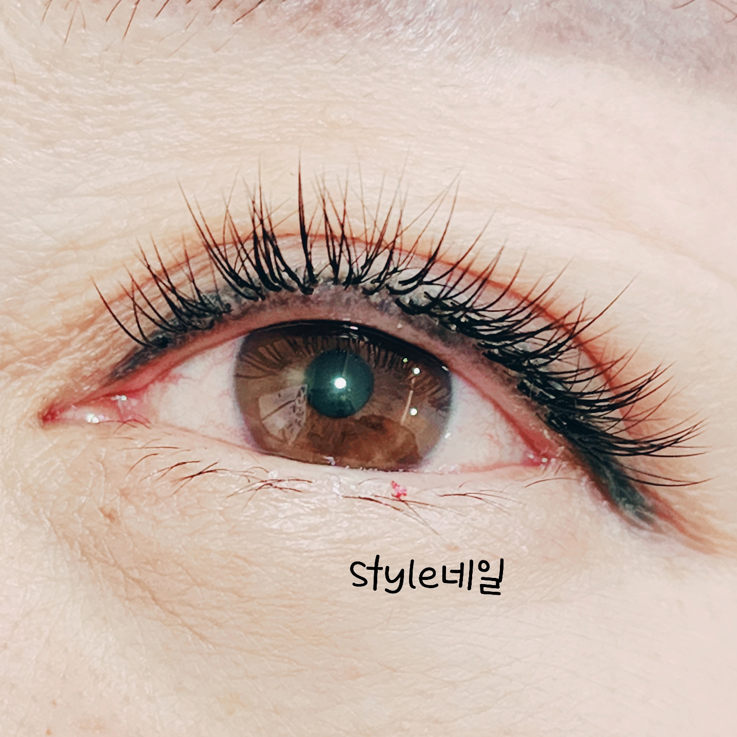 네일&속눈썹style