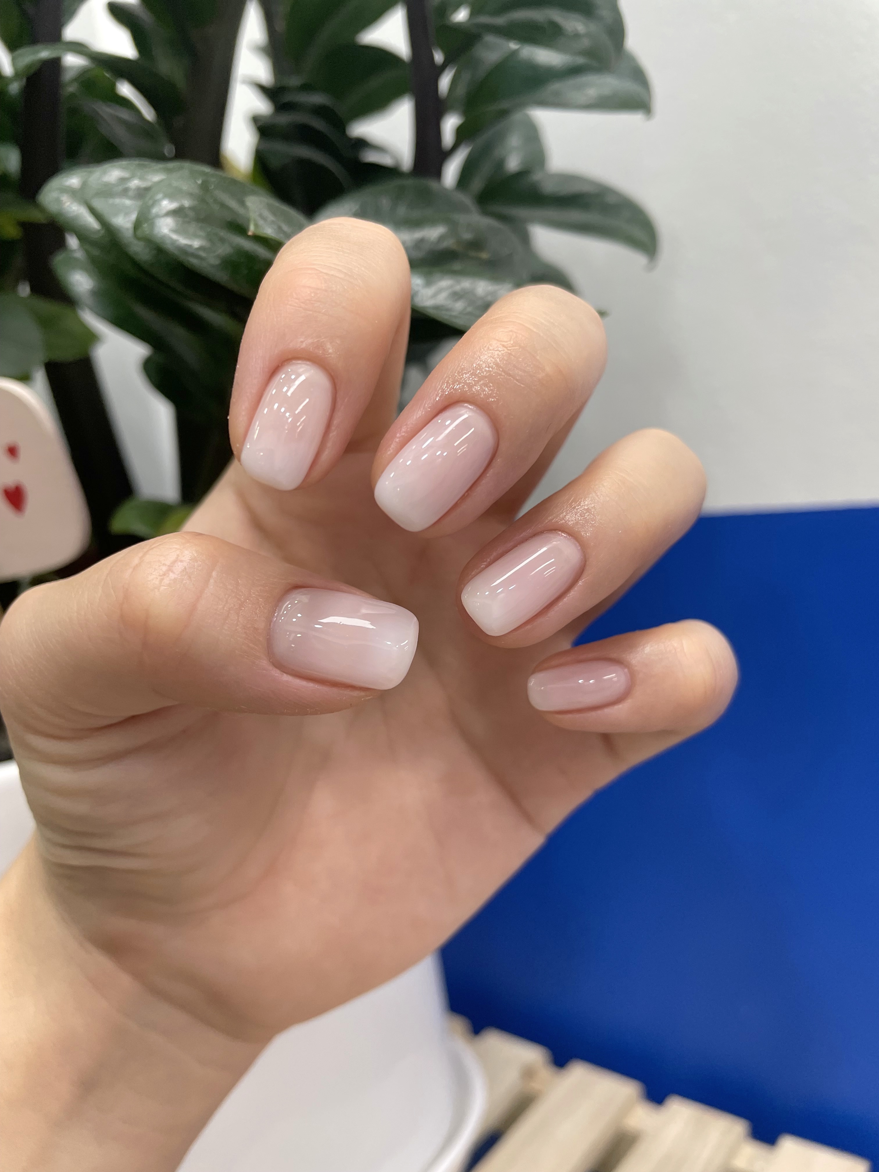 모모네일