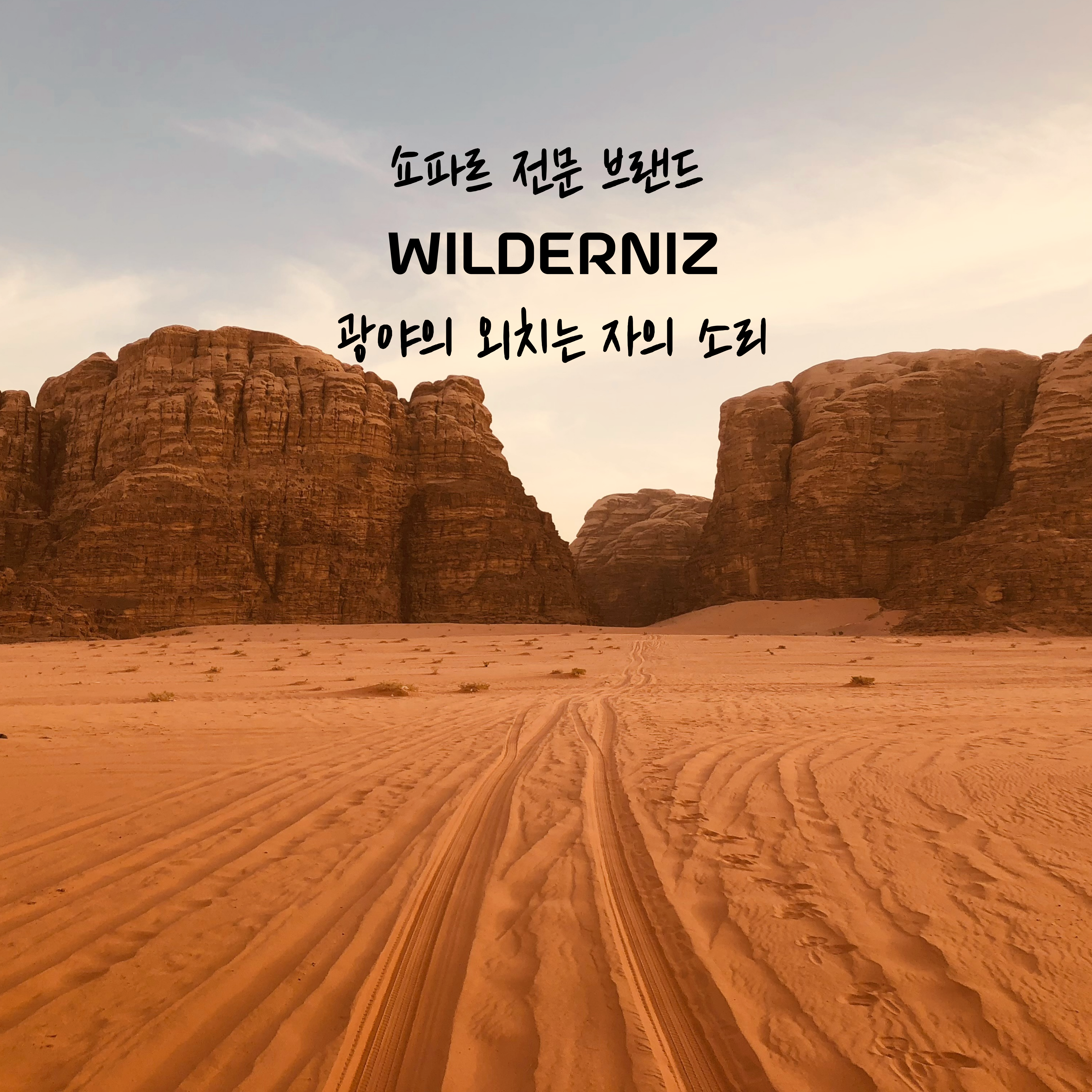 윌더니즈