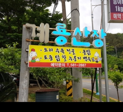 계룡산장