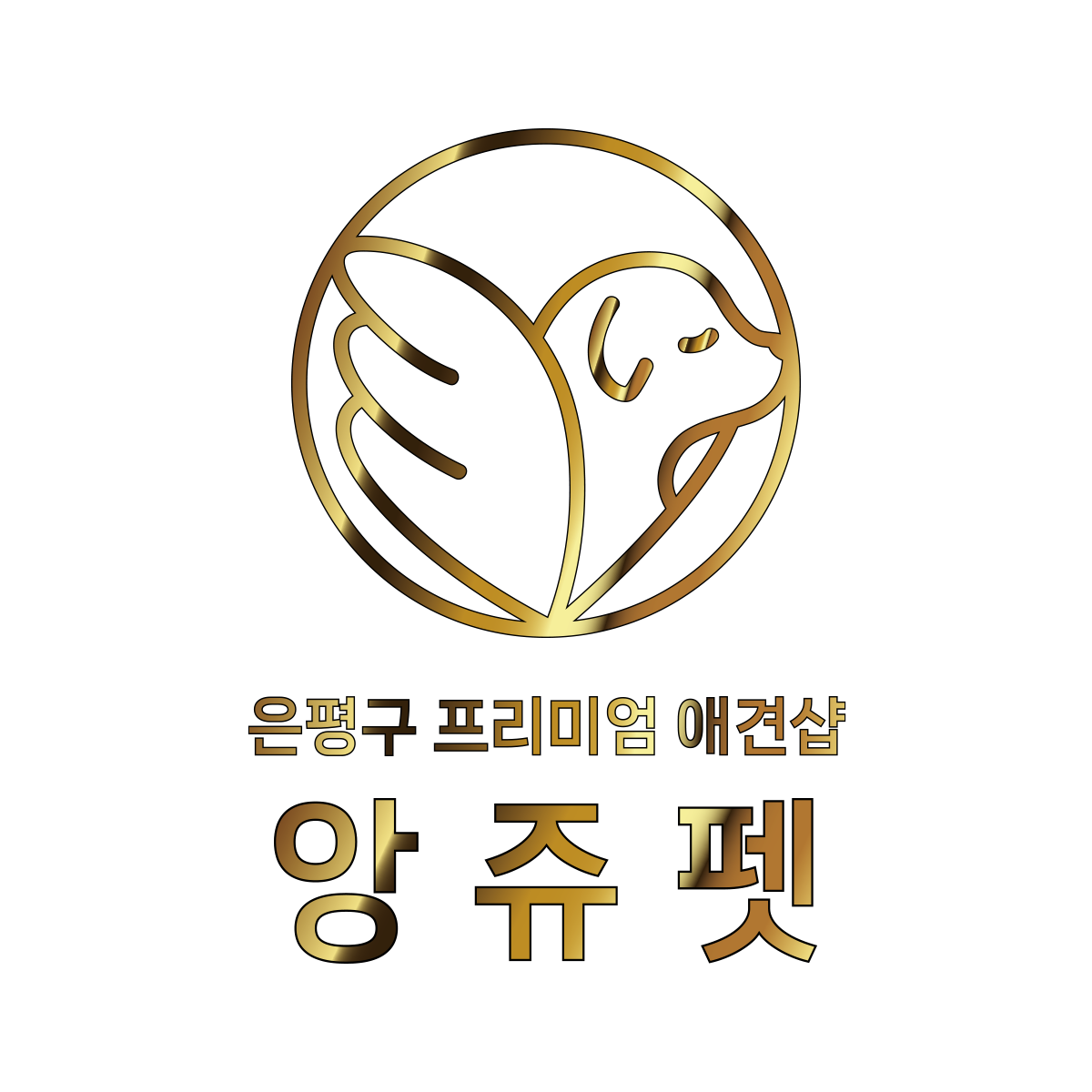 앙쥬펫 강아지분양 은평구점
