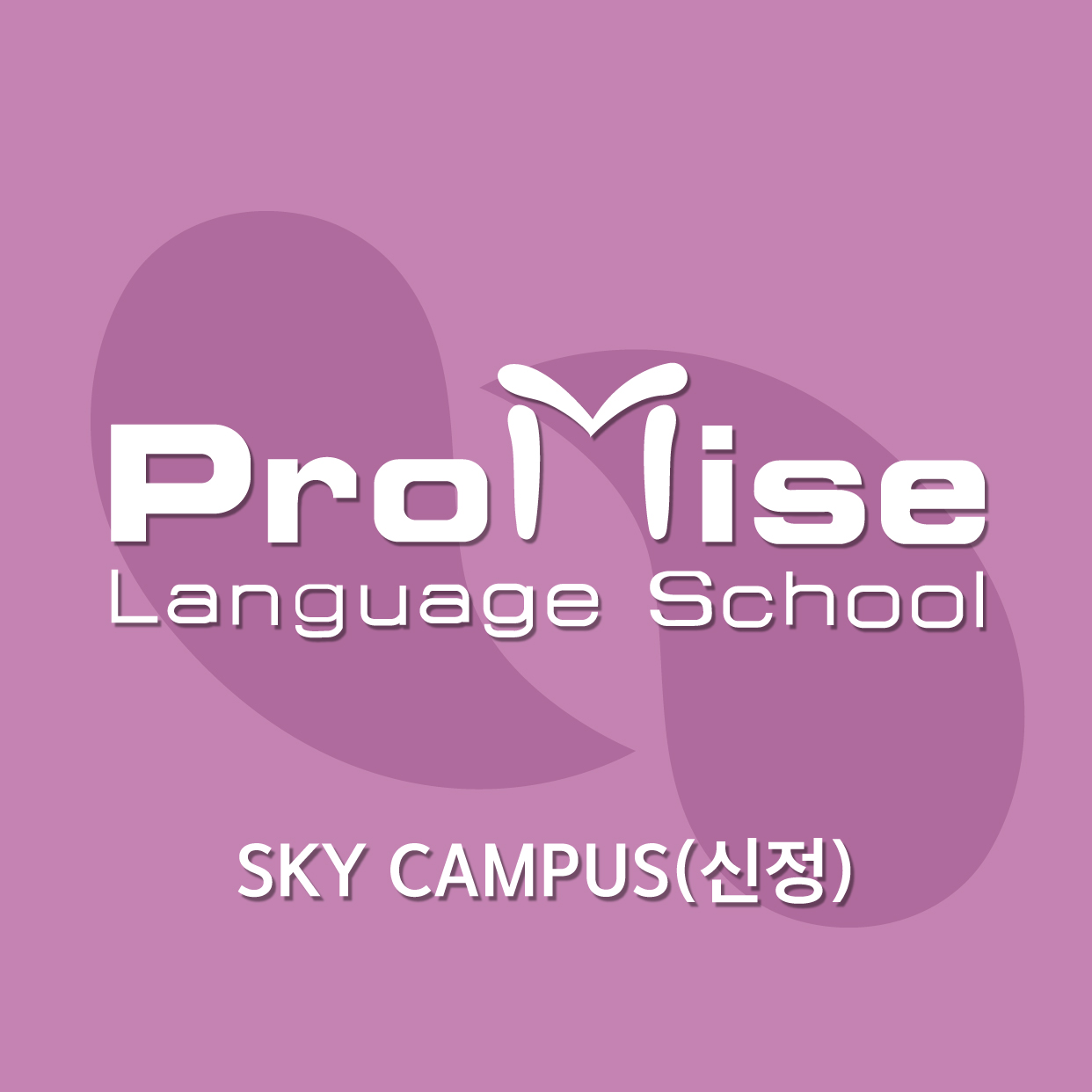 프라미스어학원 신정 SKY캠퍼스 대표 이미지