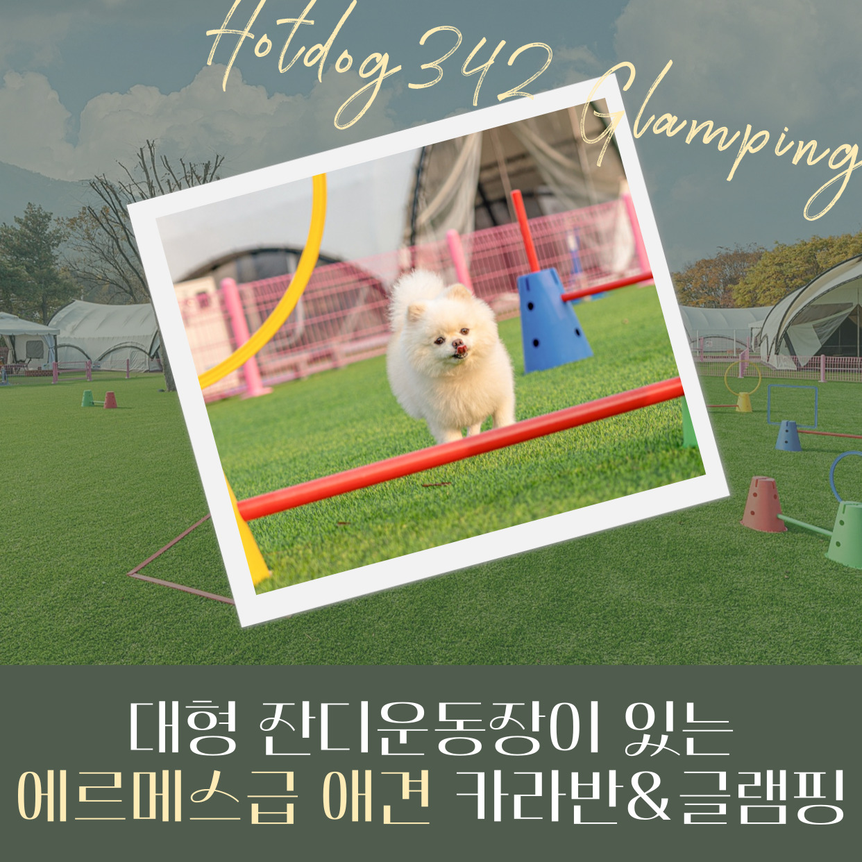 핫도그342 애견글램핑카라반
