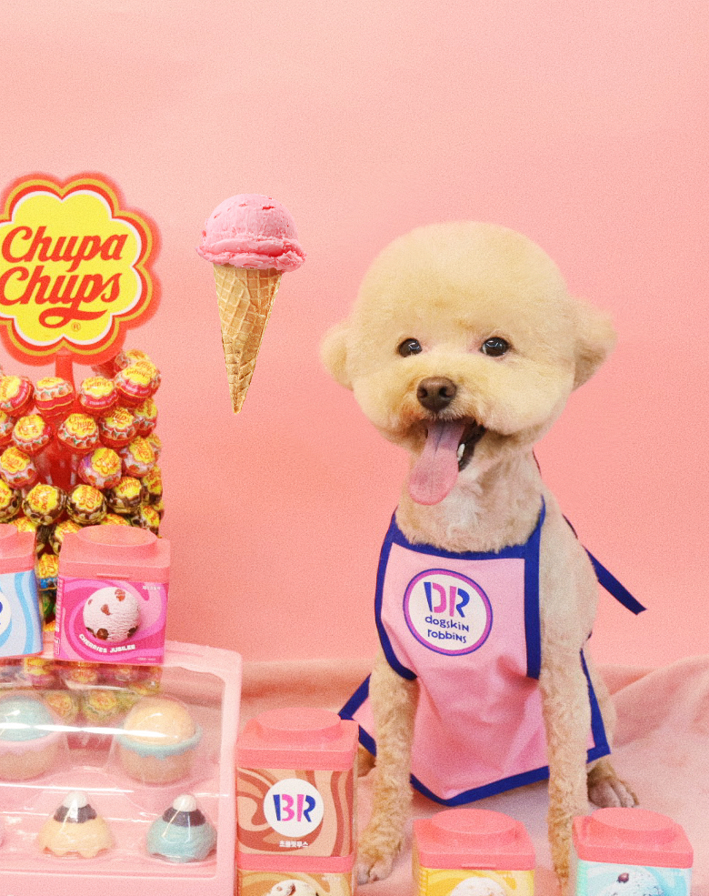 에스티비숑프리제 대표 이미지