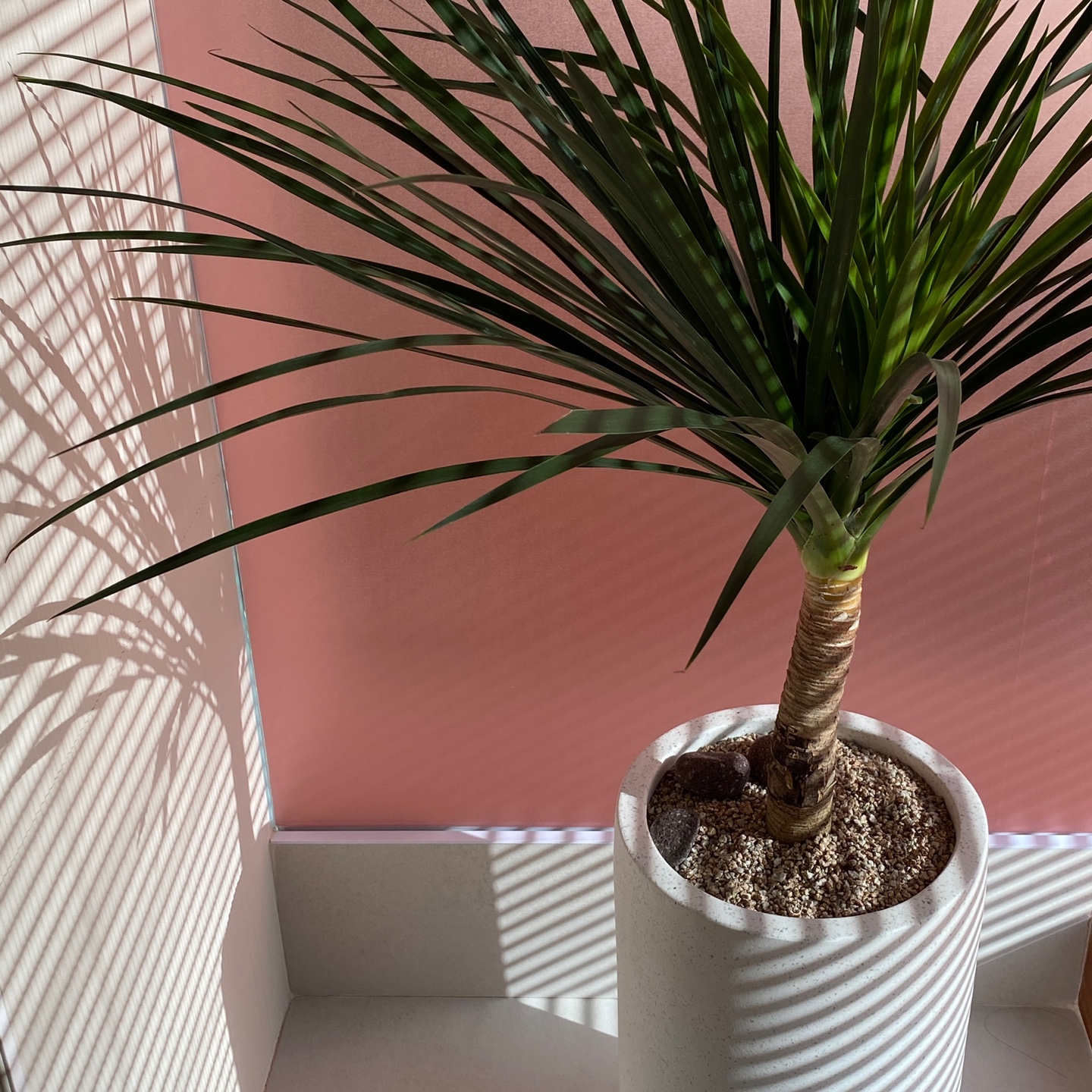 아이디헤어 포항점 대표 이미지