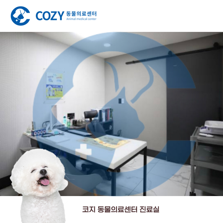 코지동물의료센터 대표 이미지