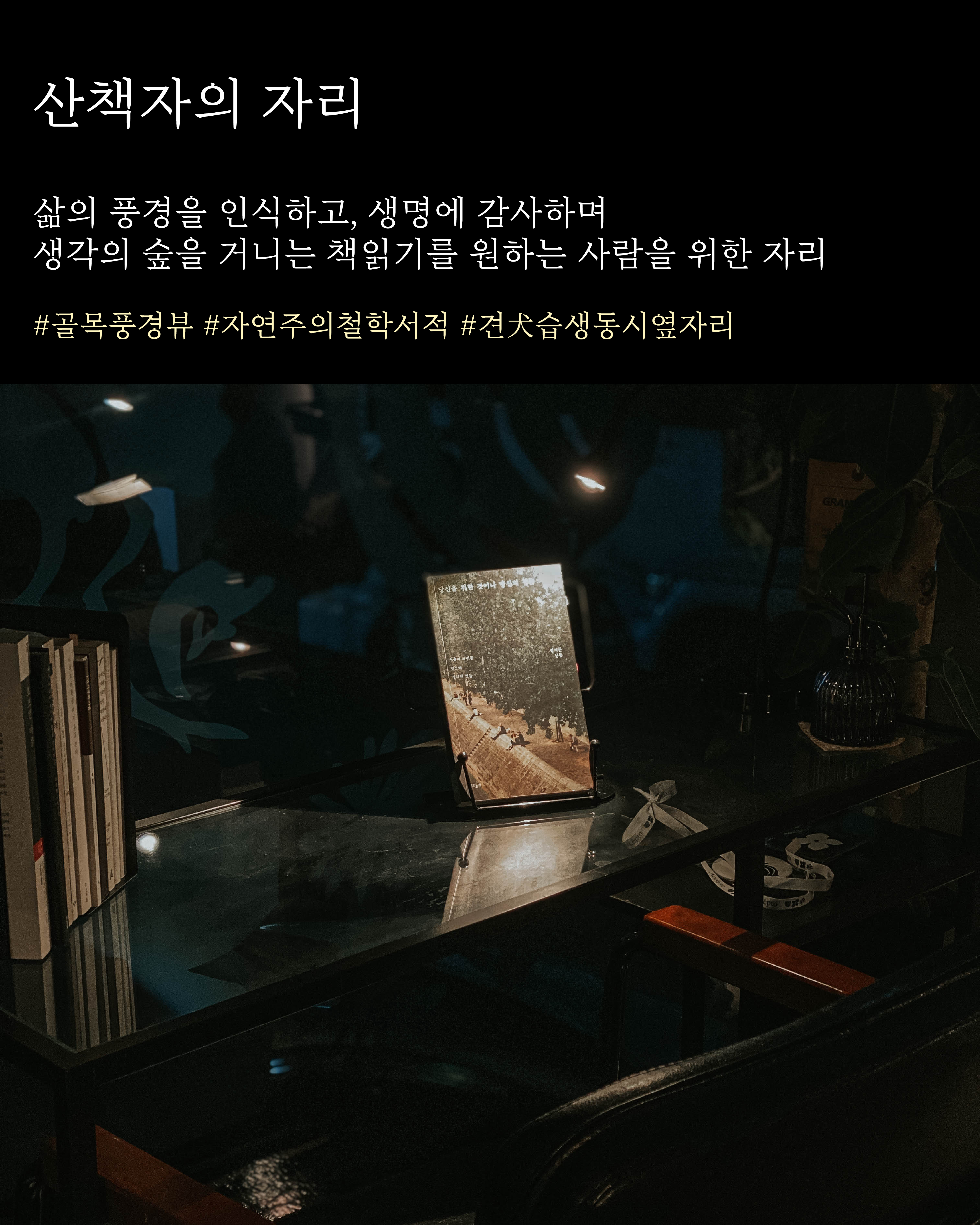 아쳅토