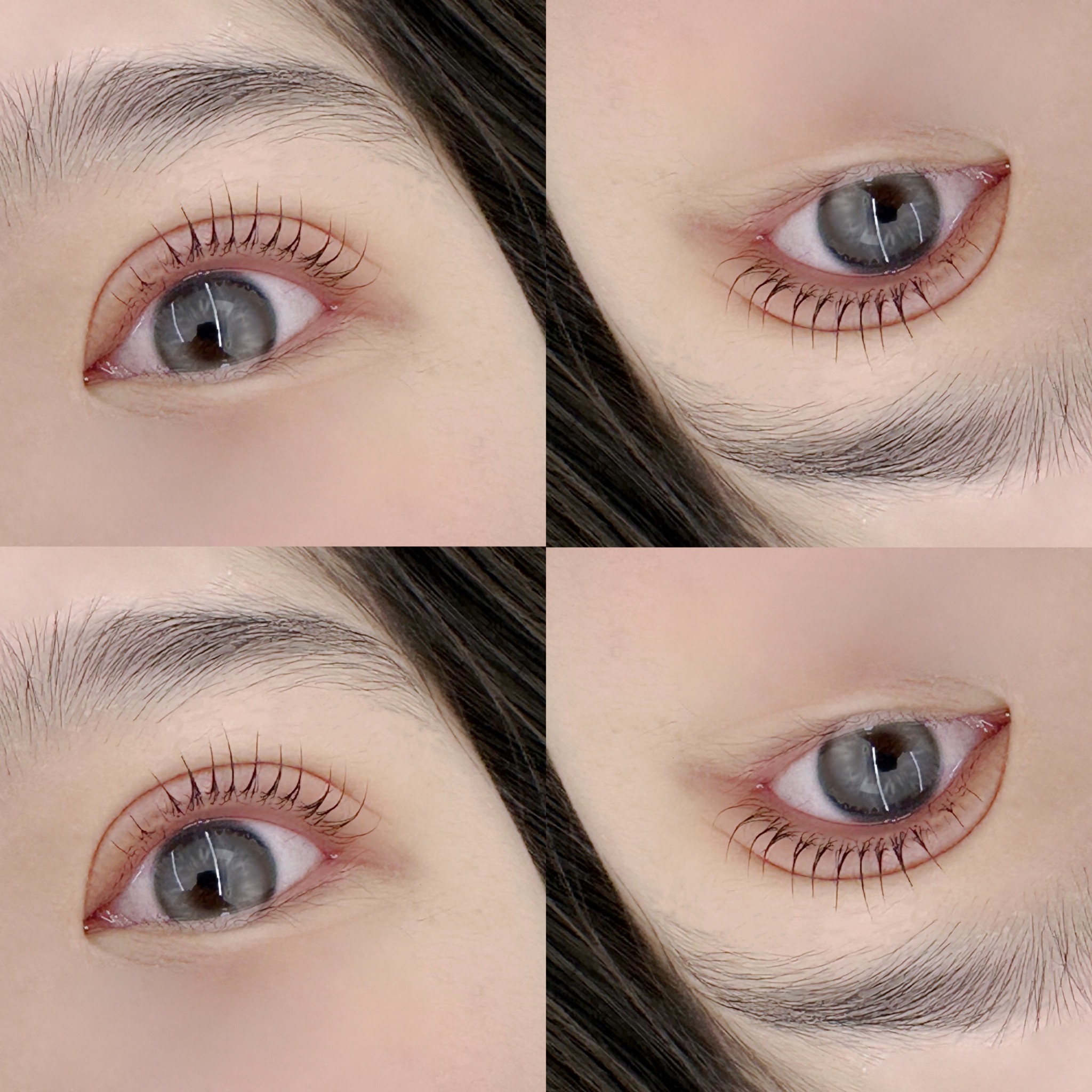 꽃마리 대표 이미지