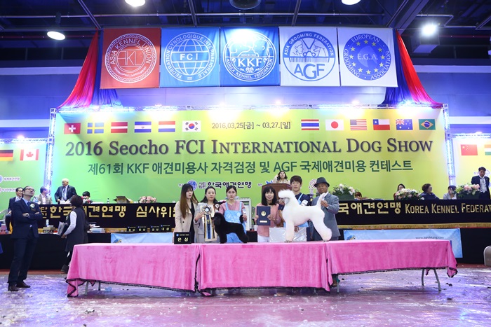 권상국애견미용학원 대표 이미지