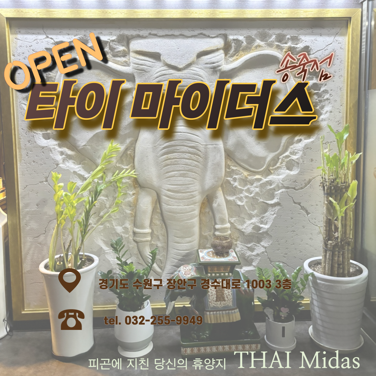 타이마이더스