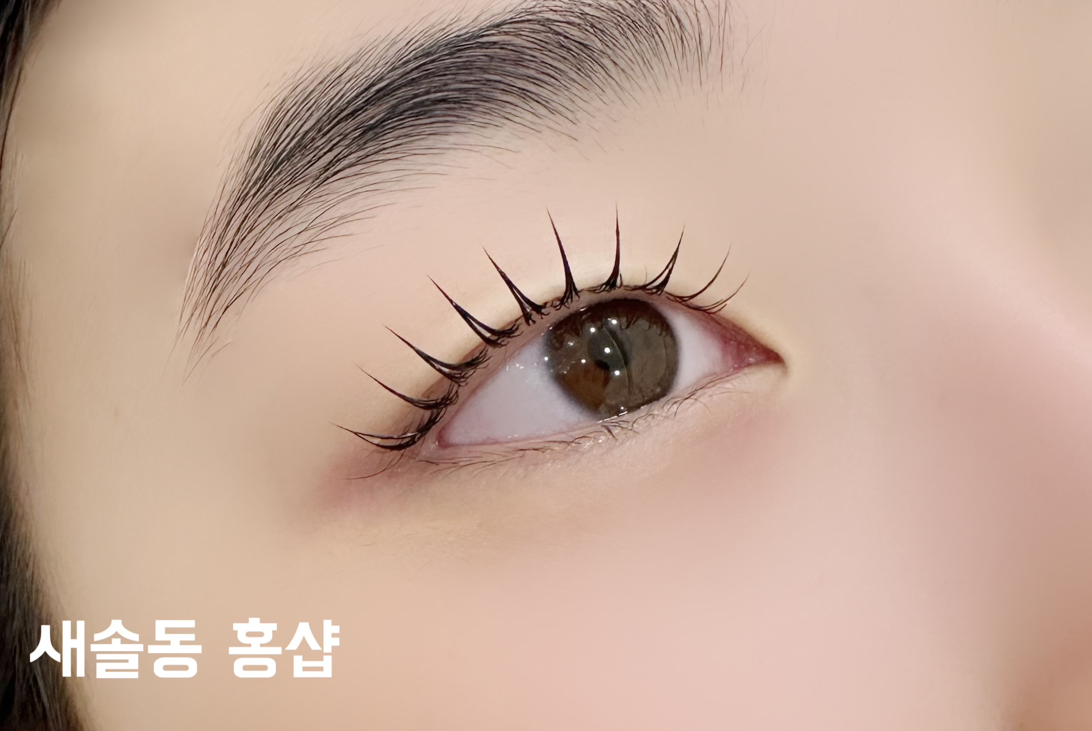 홍샵 송산그린시티점